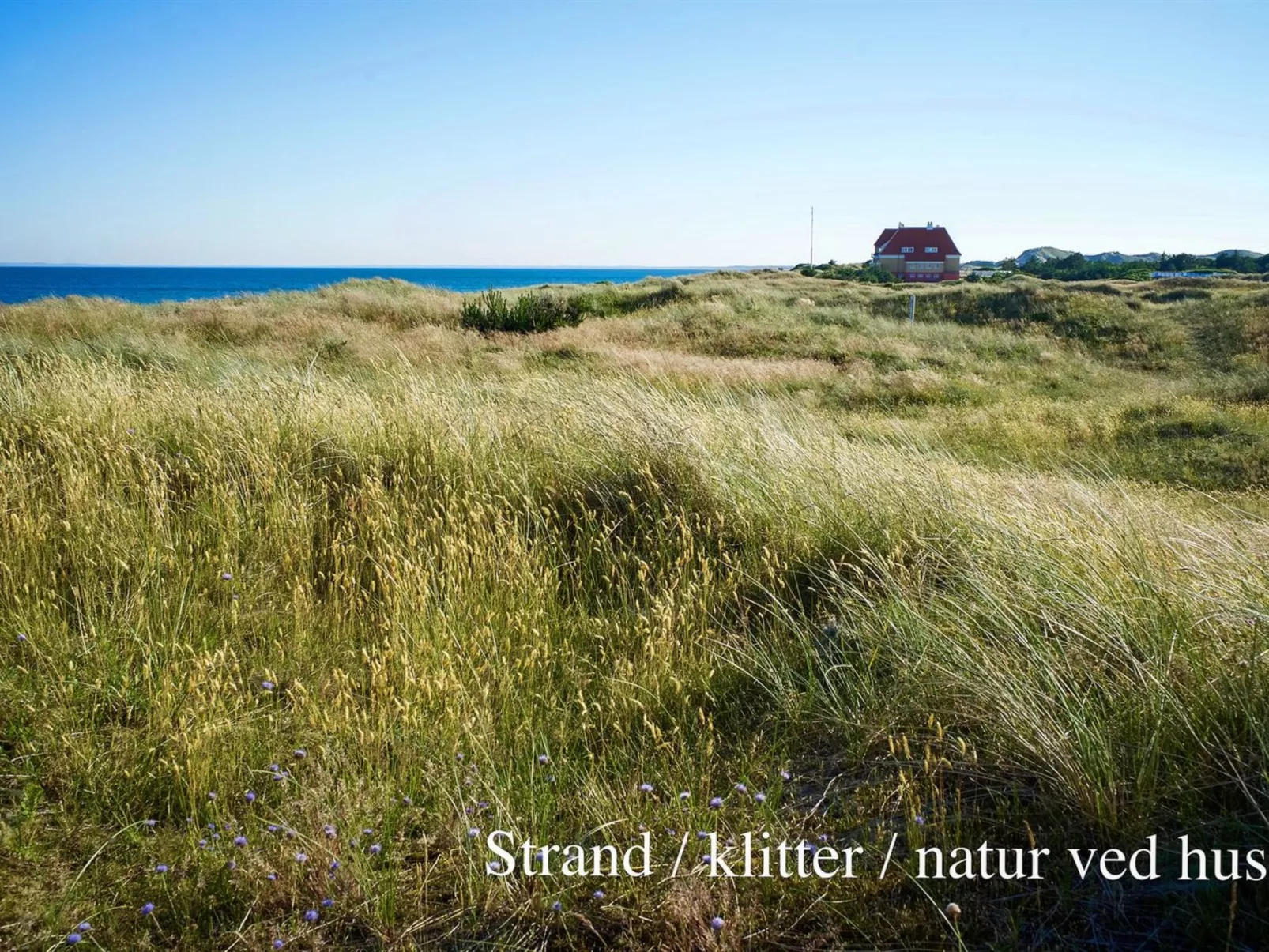 "Elle" - 50m from the sea-Buiten