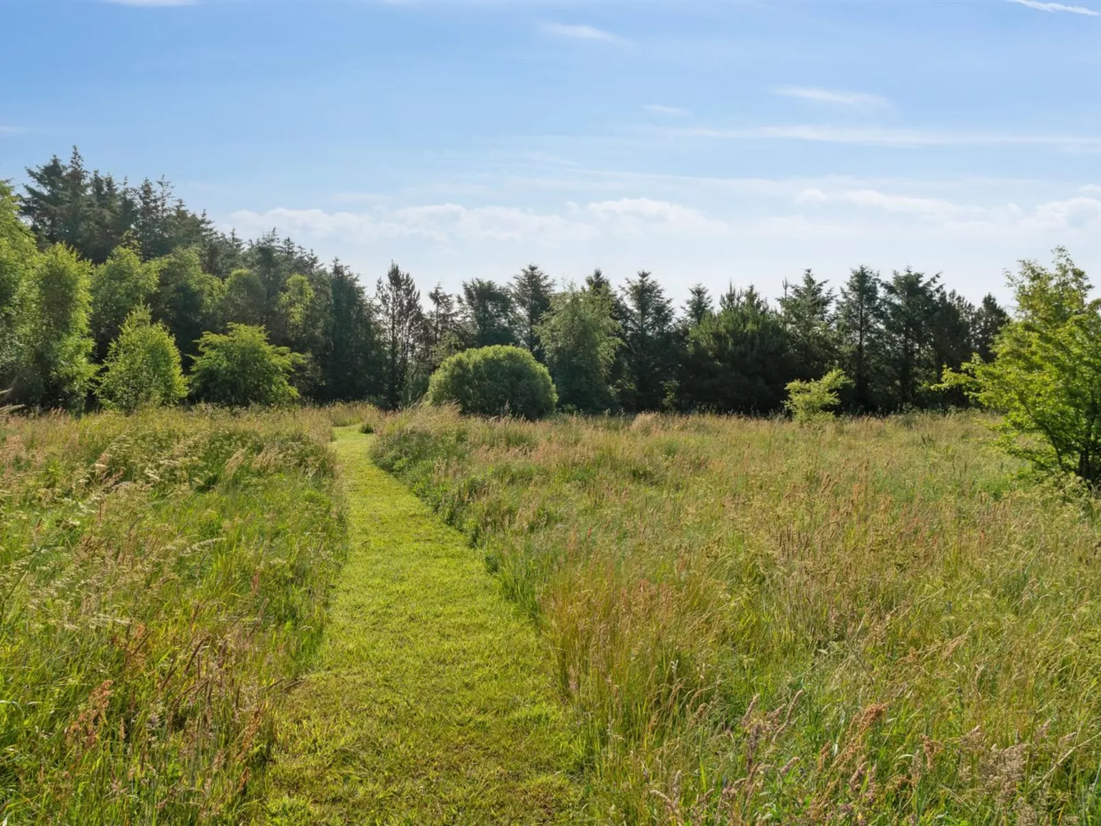 "Elsia" - 1.5km to the fjord-Buiten
