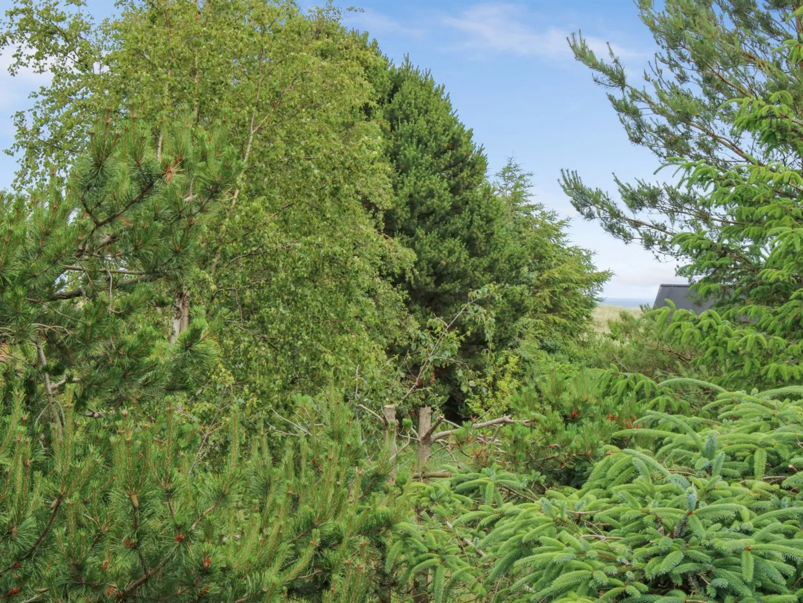 "Flora" - 150m from the sea-Buiten