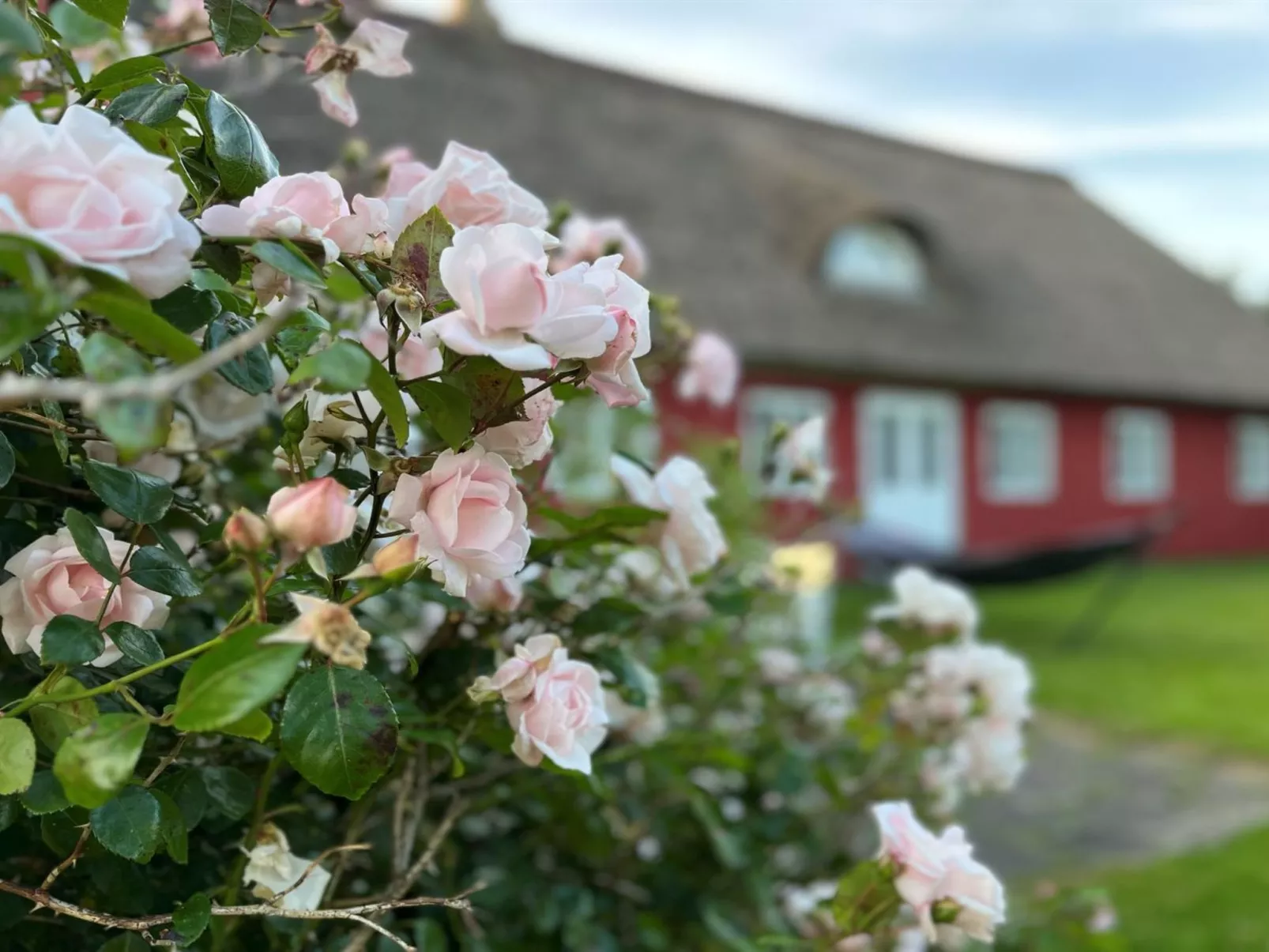 "Kielo" - 10km from the sea-Buiten