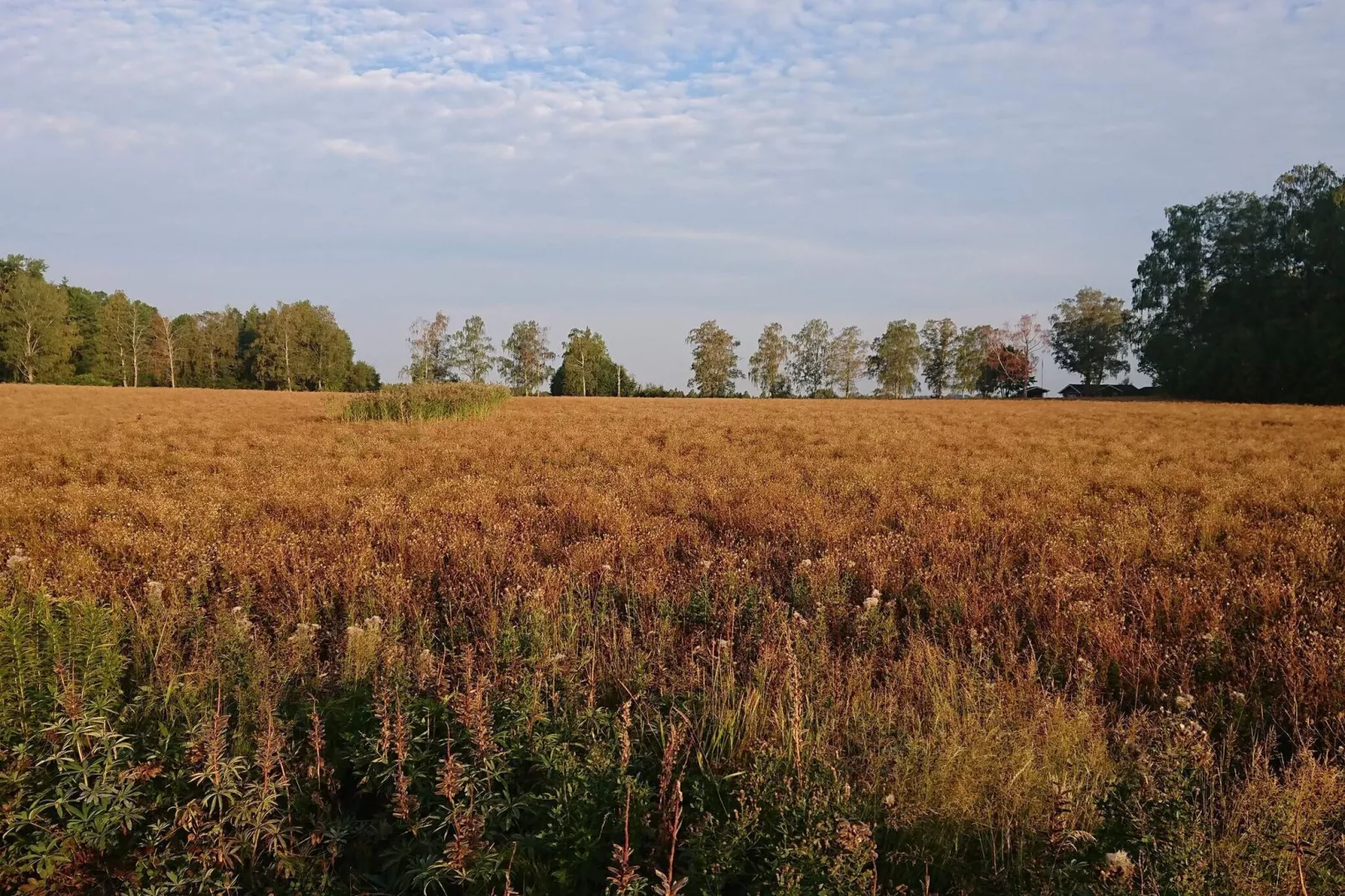 6 persoons vakantie huis in HAMMARÖ-By Traum-Waterzicht