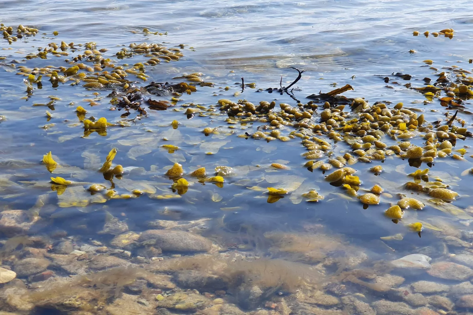 5 persoons vakantie huis in Rørvig-By Traum-Waterzicht