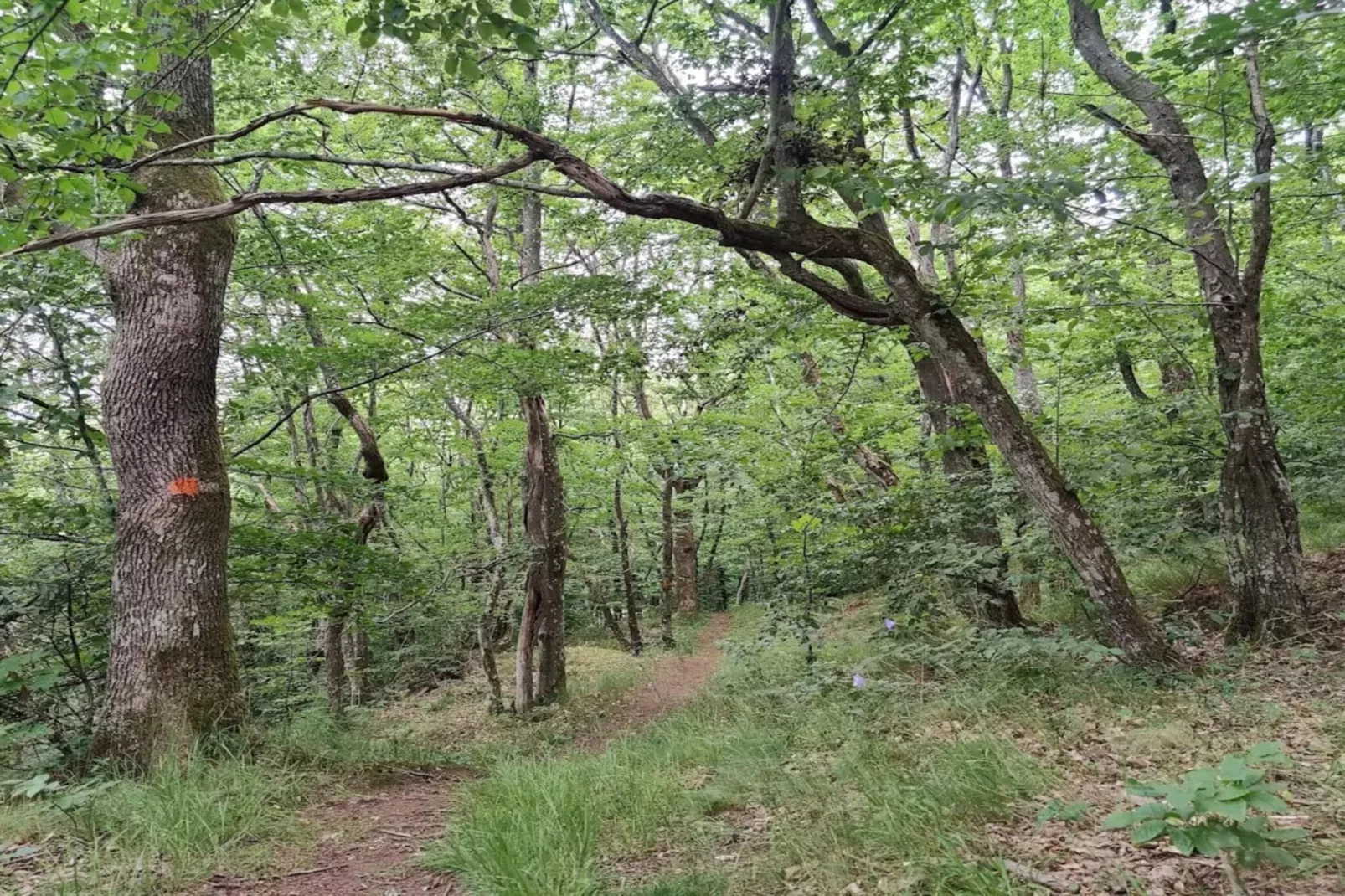 9 persoons vakantie huis in Ljungbyhed-By Traum-Niet-getagd