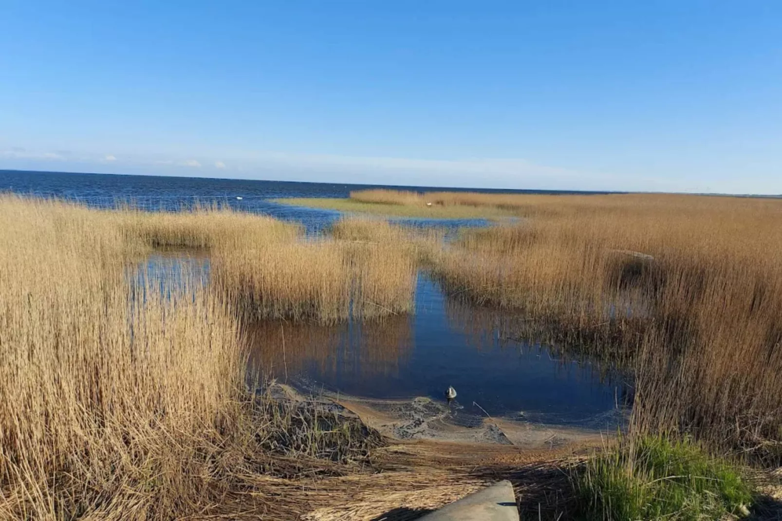 4 persoons vakantie huis in Ringkøbing-By Traum-Waterzicht