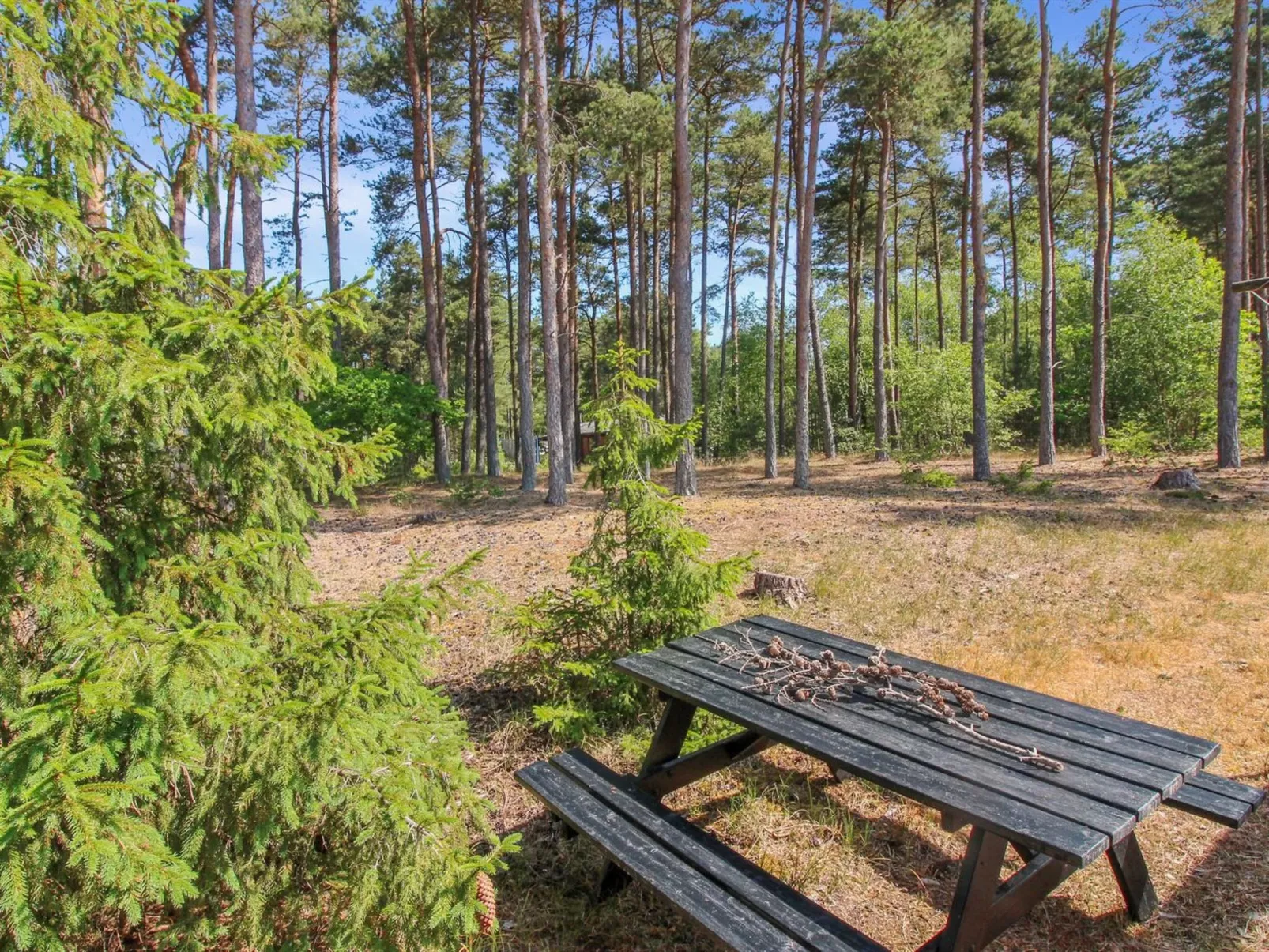 "Gudmand" - 600m from the sea-Buiten