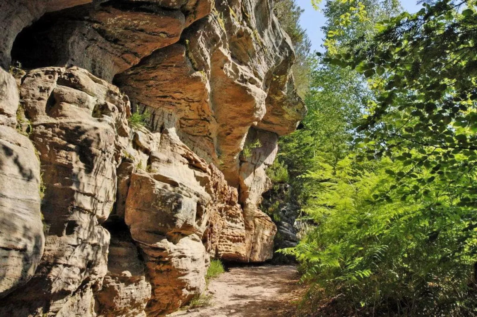 Domaine Des Messires 2-Gebieden zomer 5km