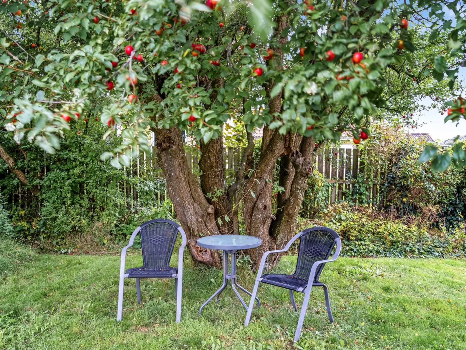 "Mats" - 5.3km from the sea-Buiten