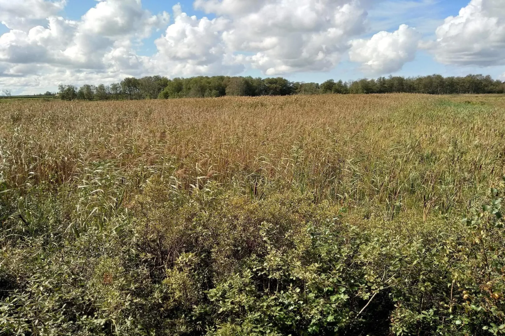 4 persoons vakantie huis in Bredebro-By Traum-Niet-getagd