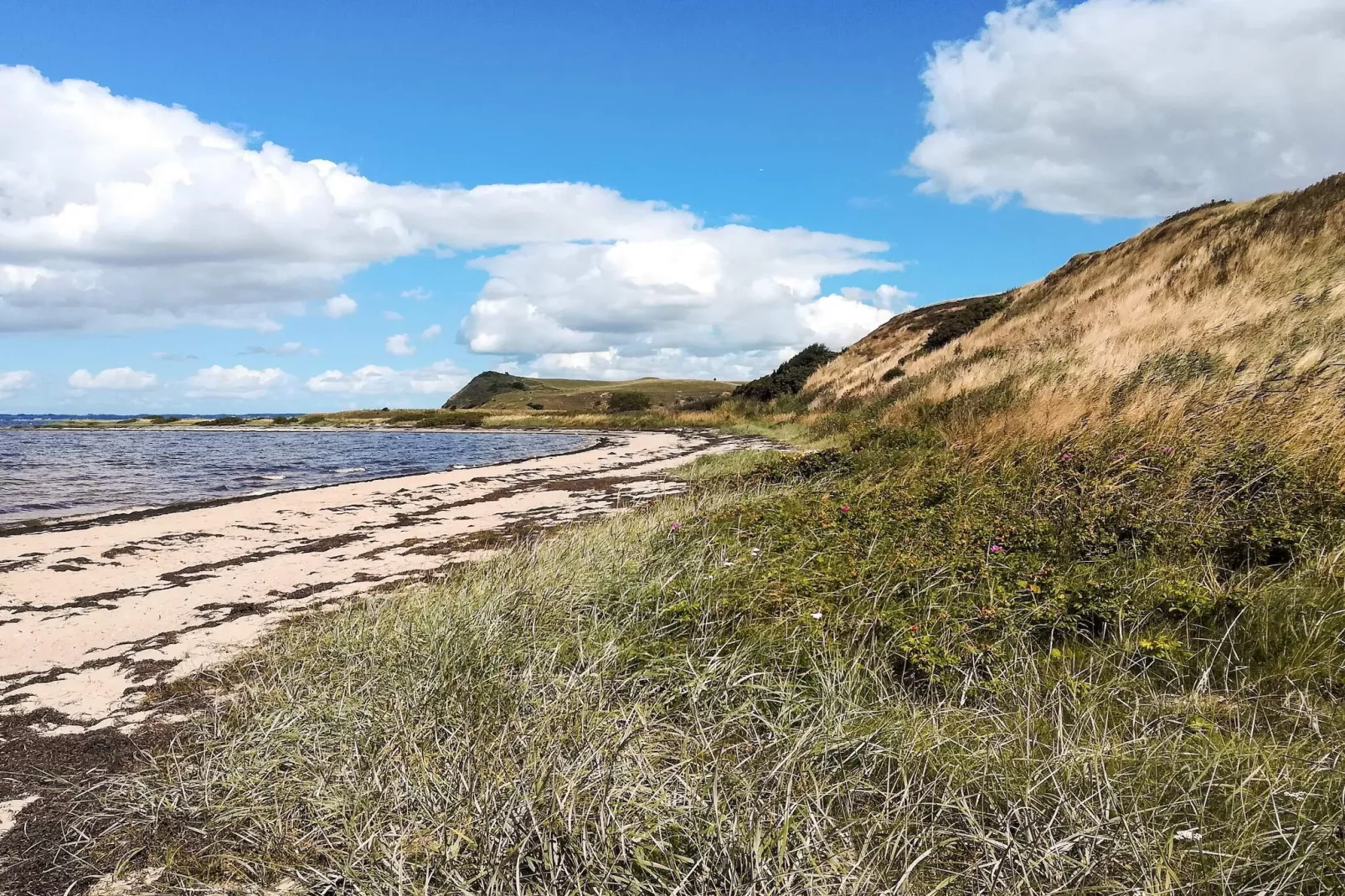 4 sterren vakantie huis in Gedsted-By Traum-Waterzicht