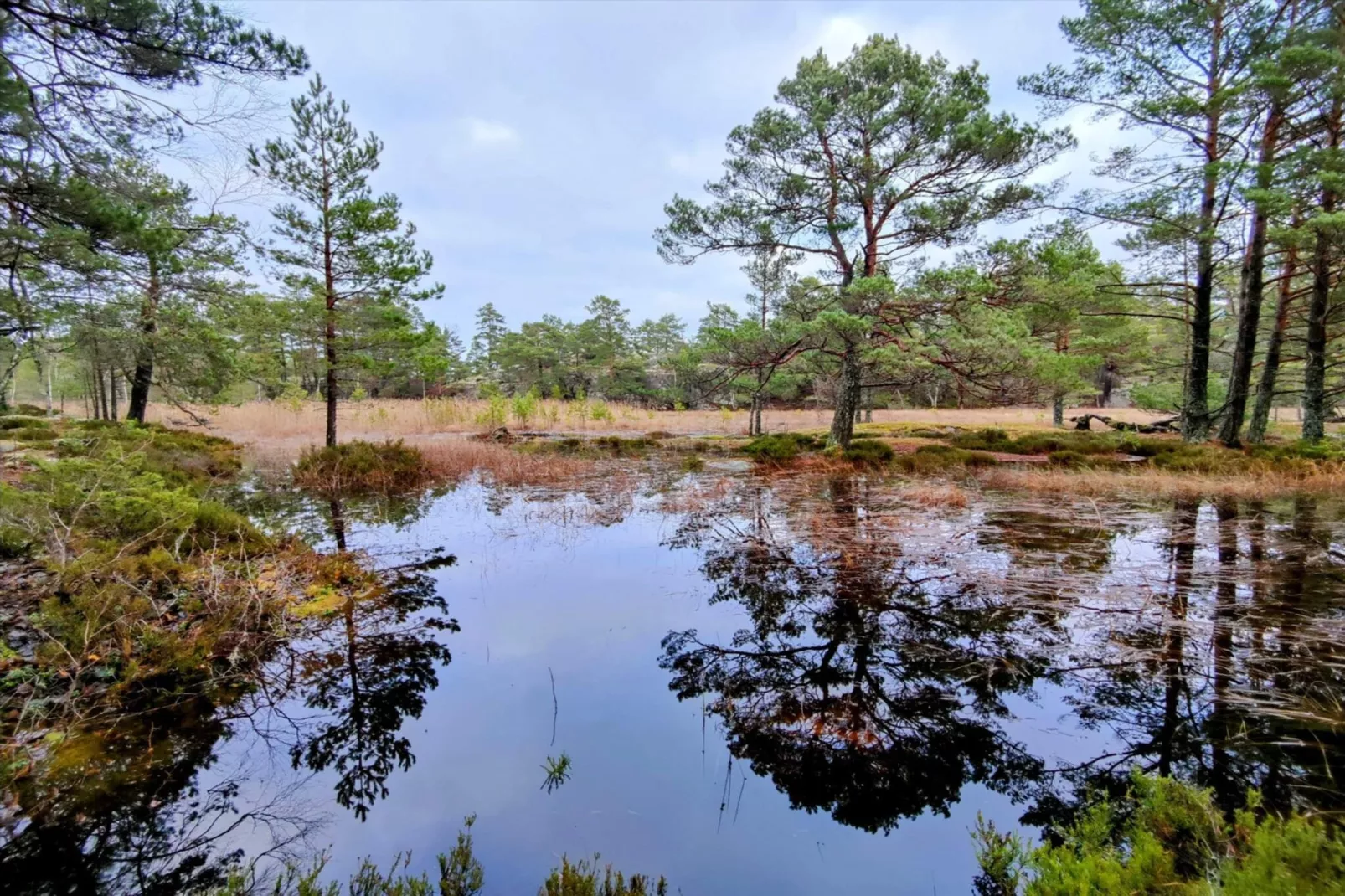 4 sterren vakantie huis in VÄRMDÖ