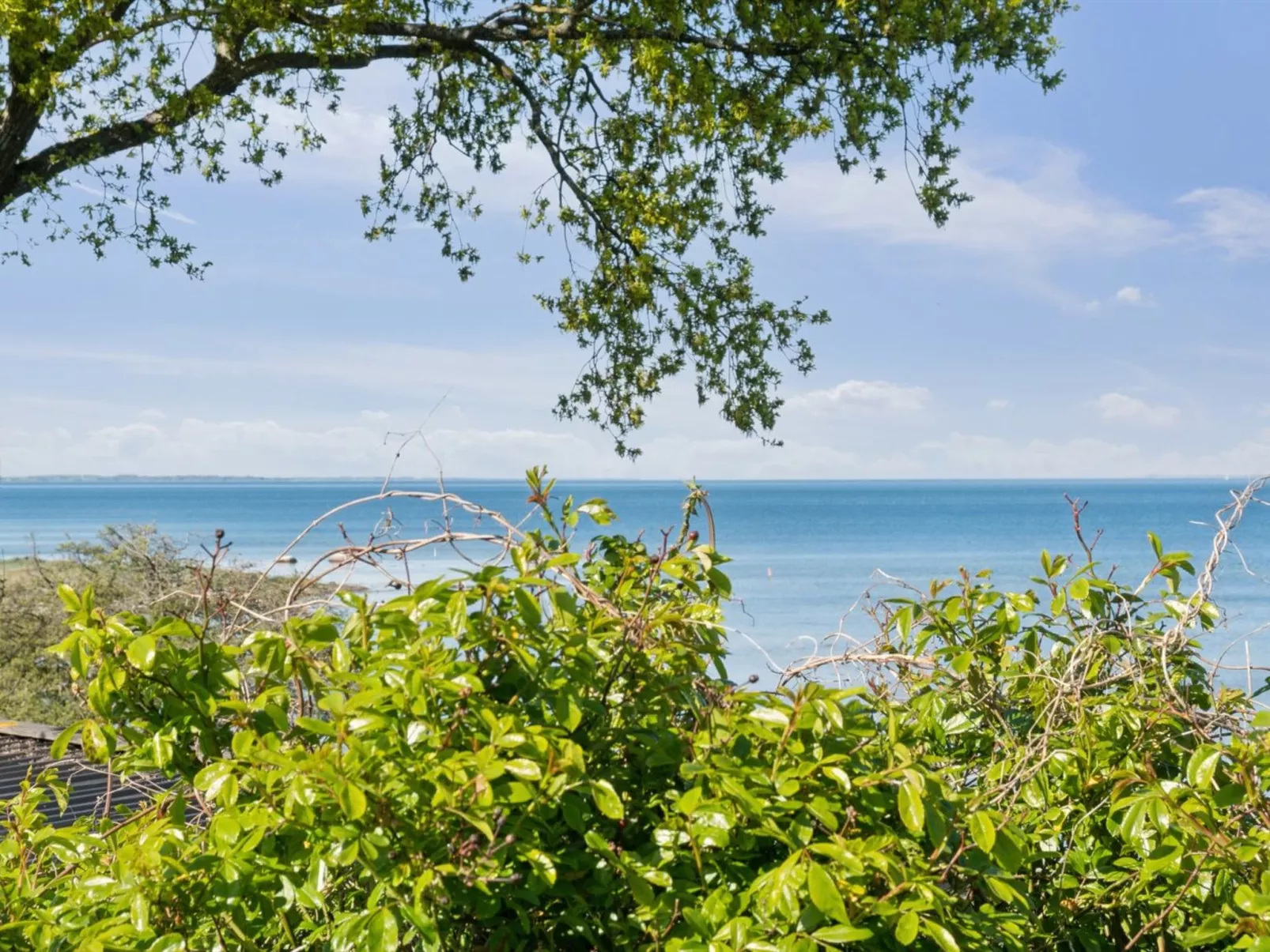 "Titta" - 10m to the fjord-Buiten