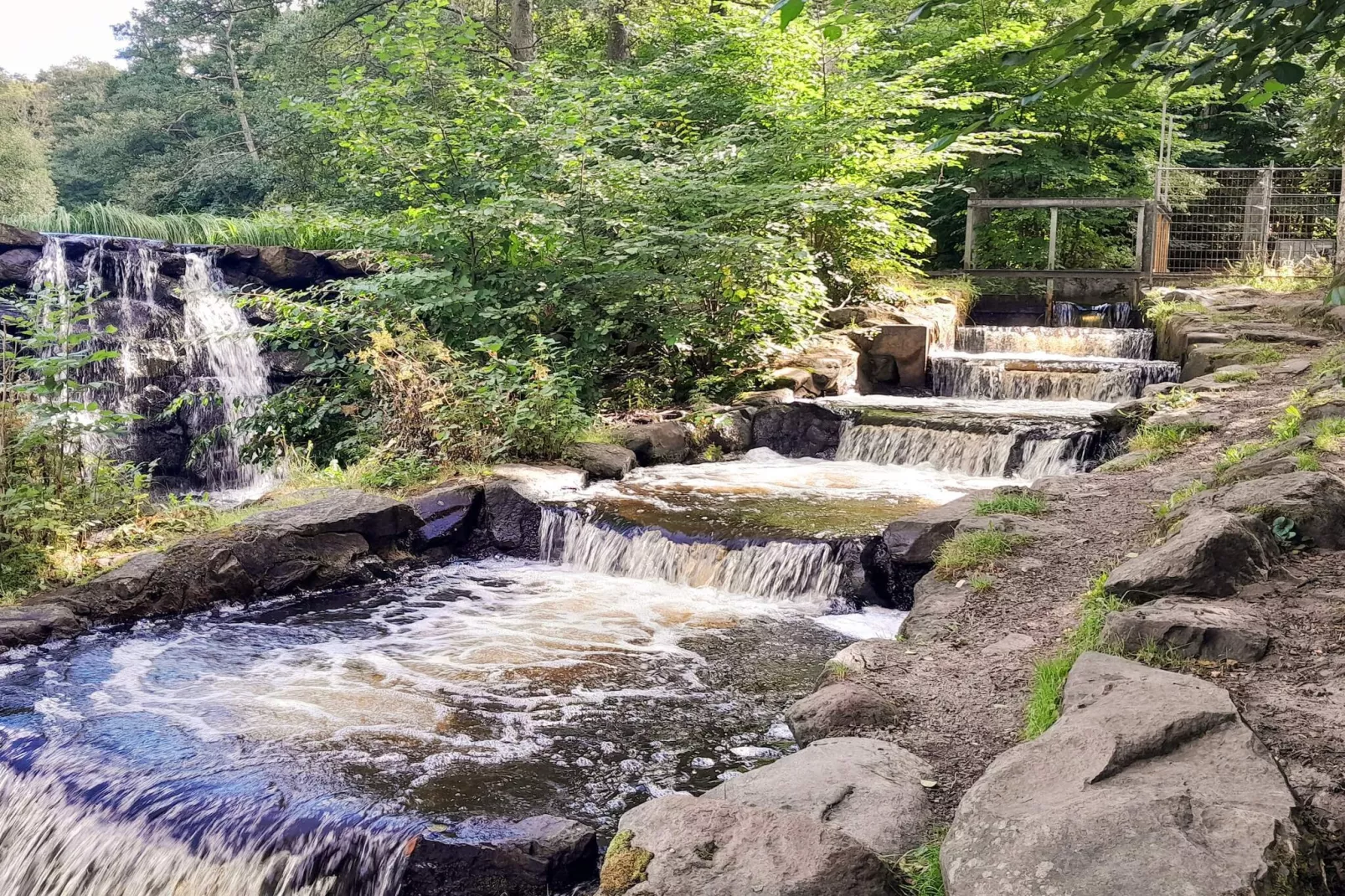 4 sterren vakantie huis in MUNKA-LJUNGBY-Waterzicht