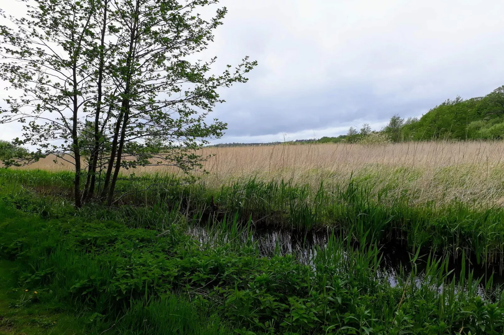 Vreedzame hut in Ebeltoft-Niet-getagd