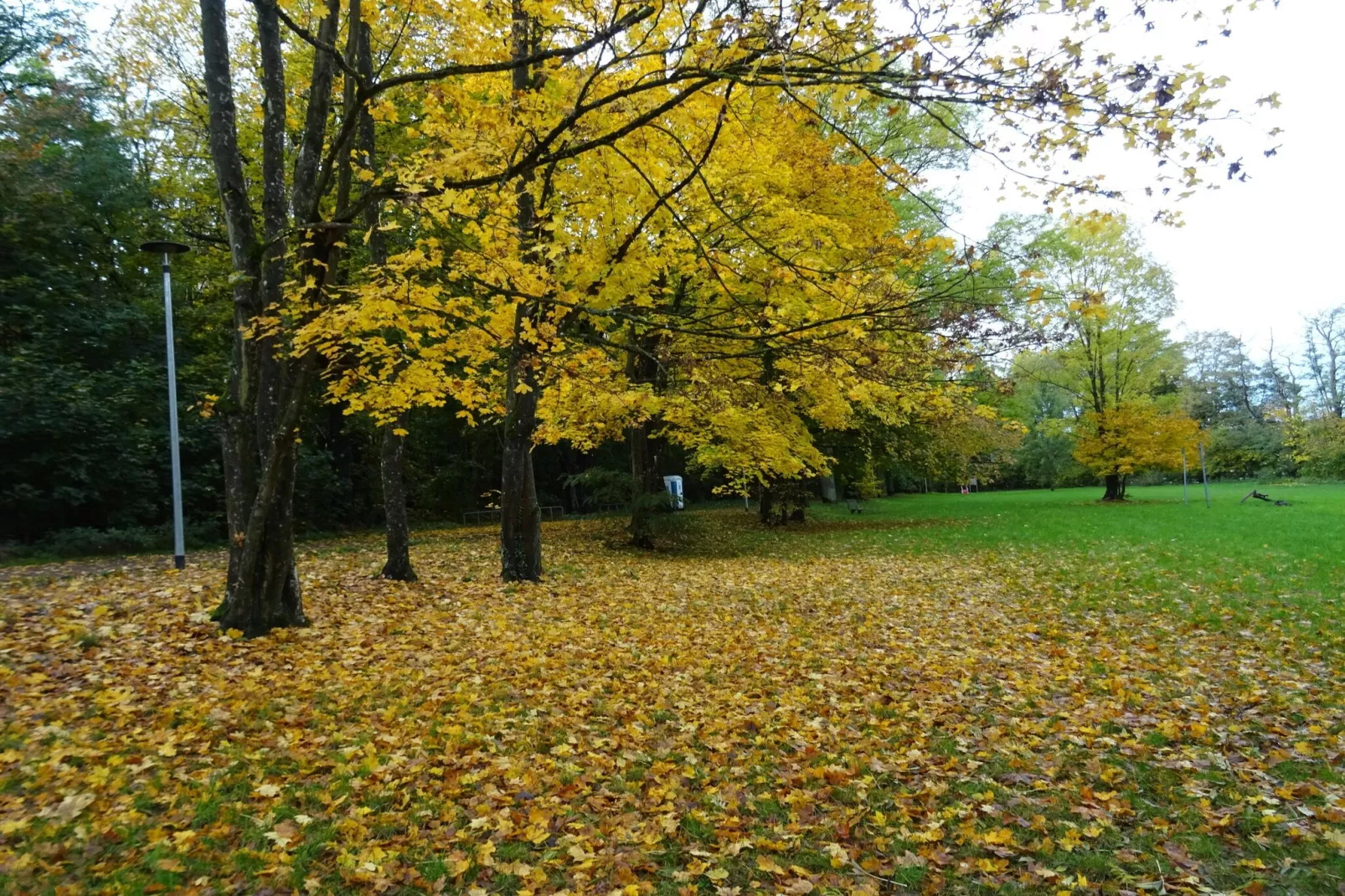 Luxus-Familienappartement / 8 Personen-Gebieden zomer 5km