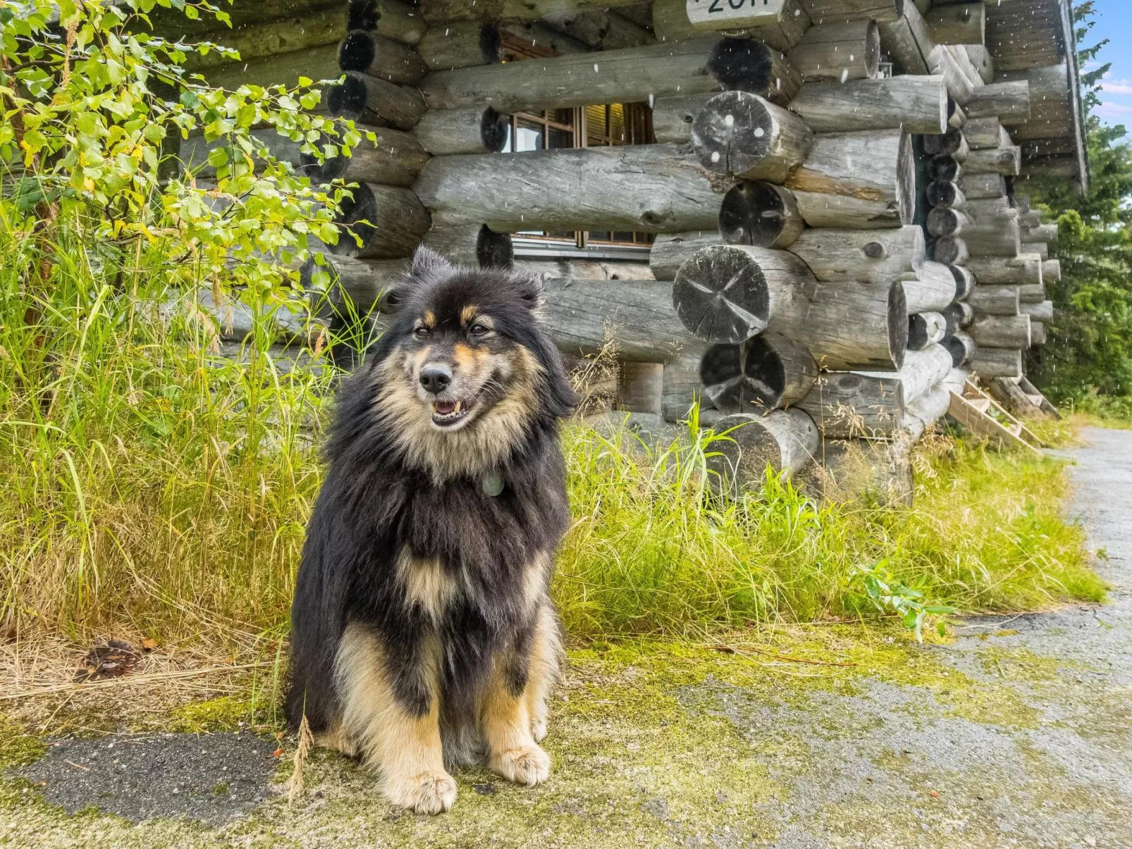 Vilkkuna 20 a-Binnen