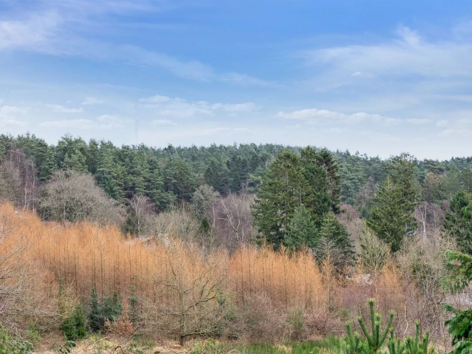 "Gunward" - 3km from the sea-Buiten