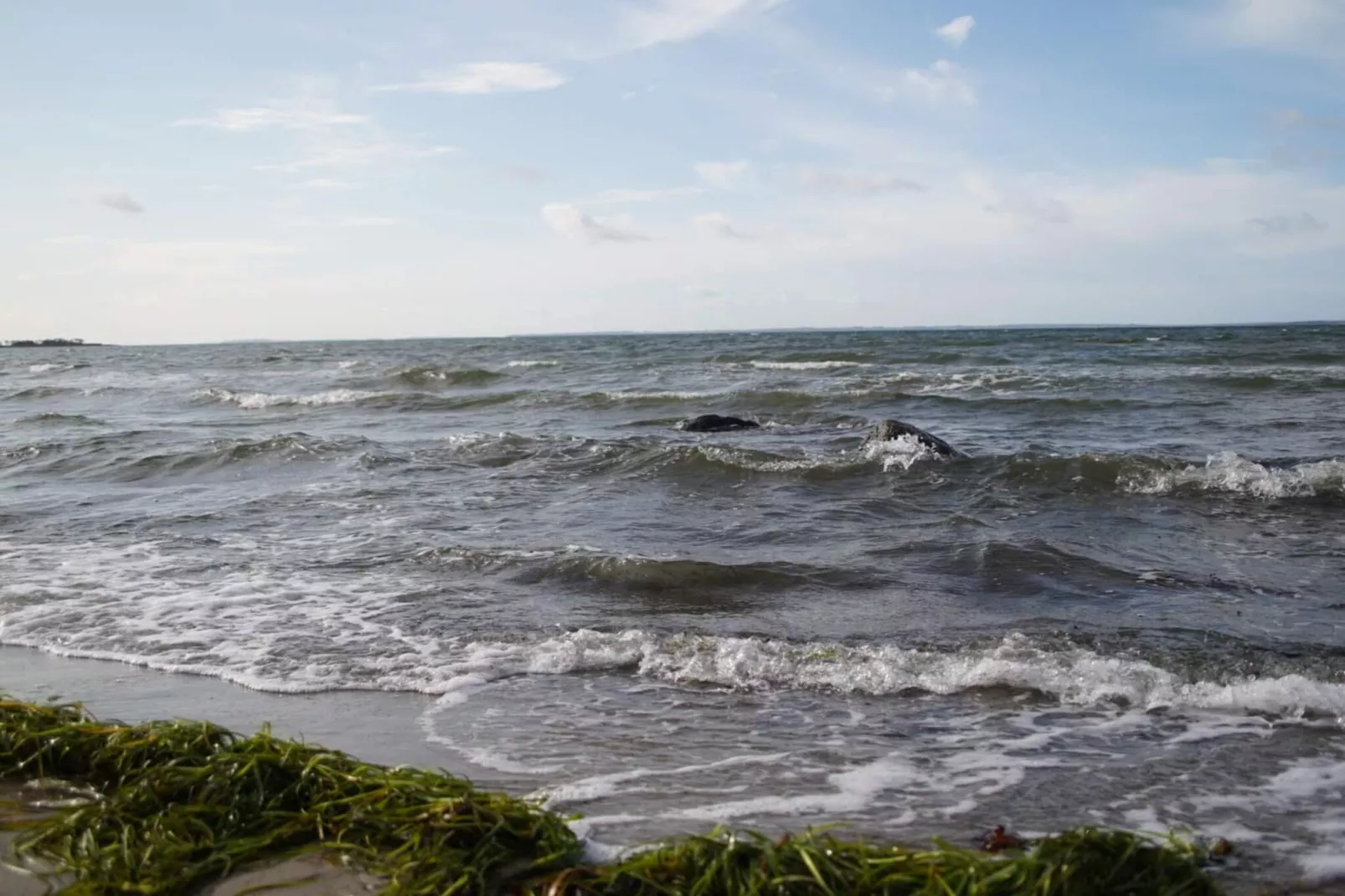 8 Personen vakantie huis in Jægerspris - Waterzicht
