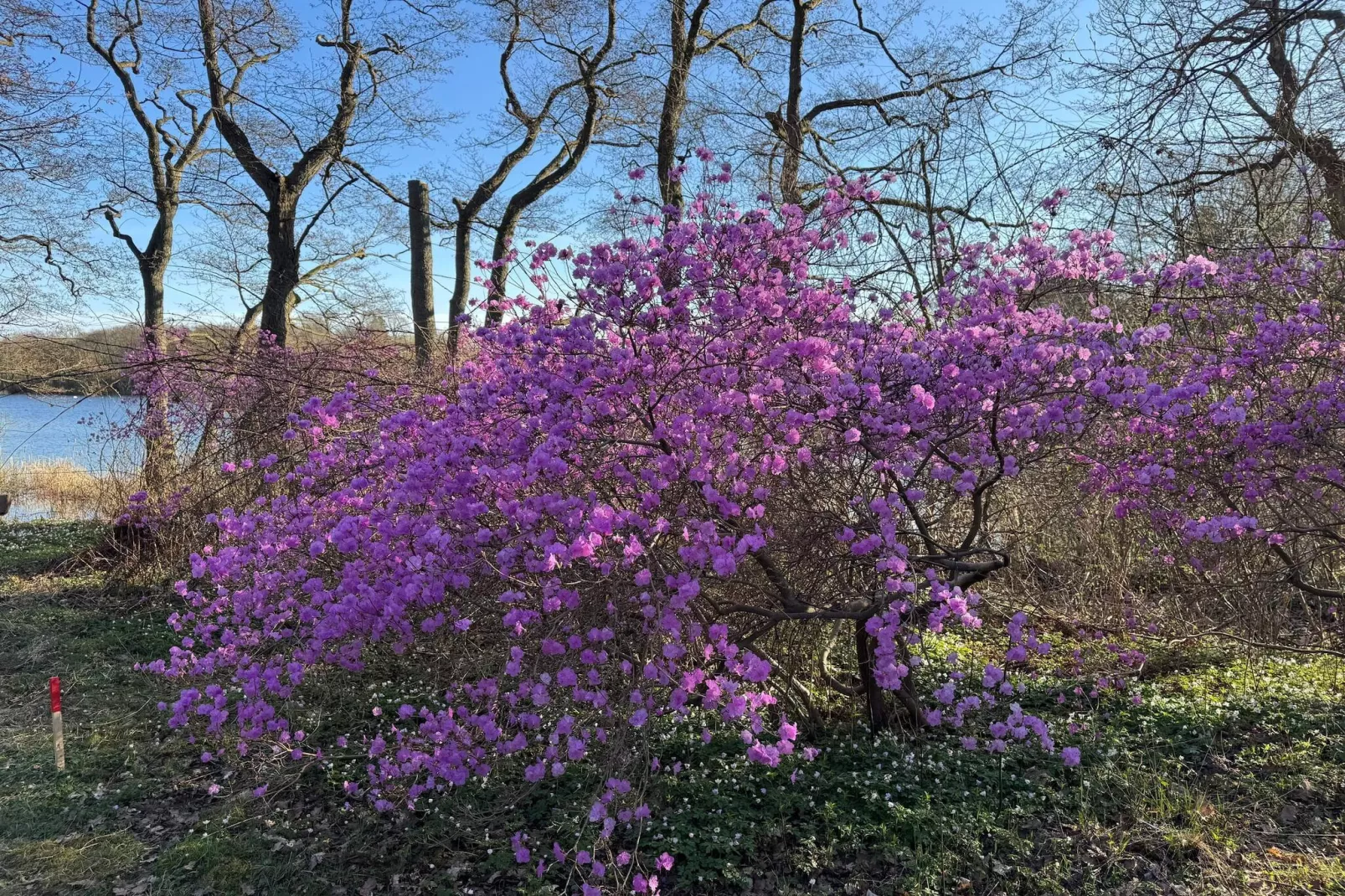 4 sterren vakantie huis in Vedbæk-Niet-getagd
