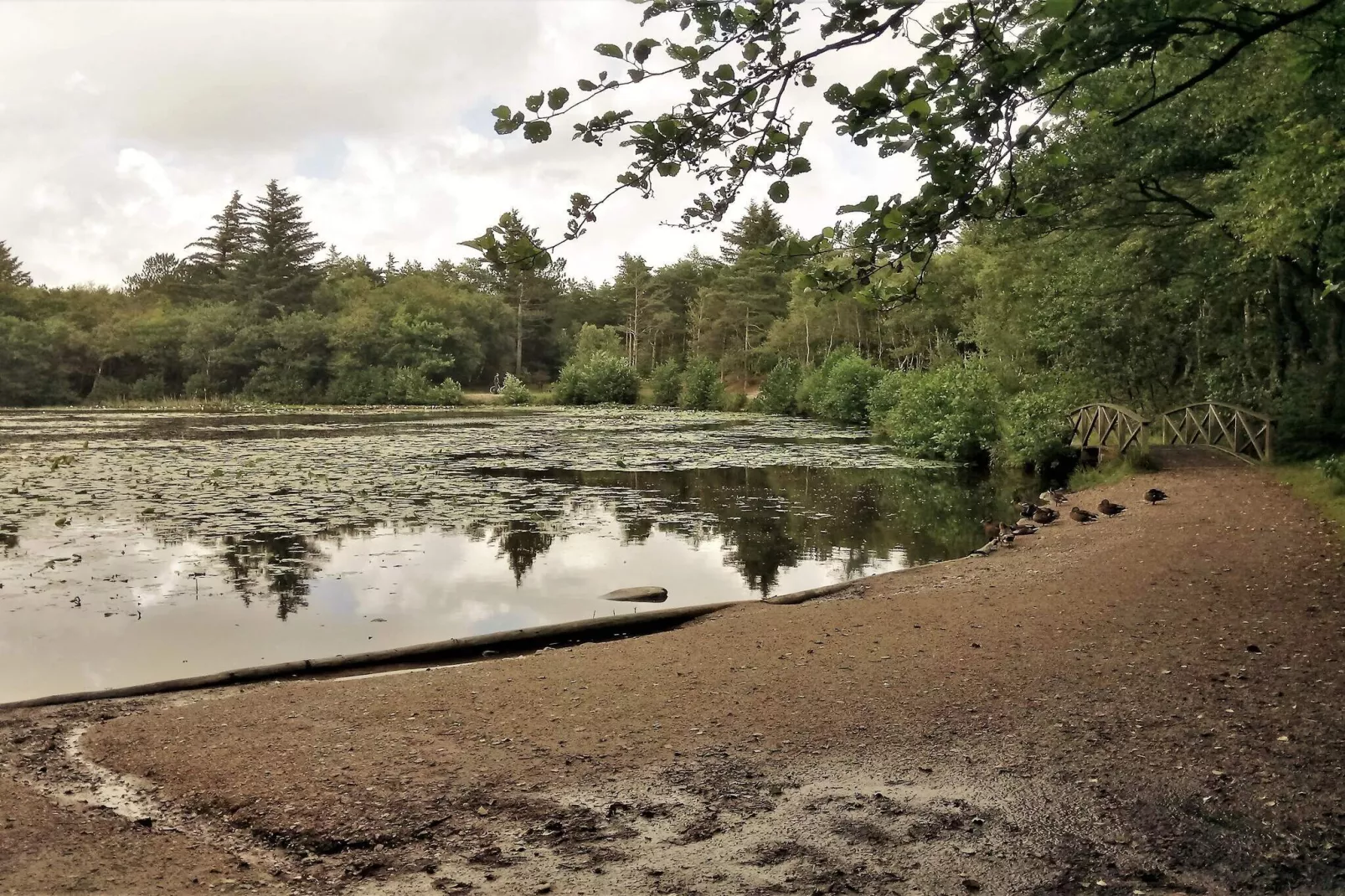 5 sterren vakantie huis in Løkken-Waterzicht