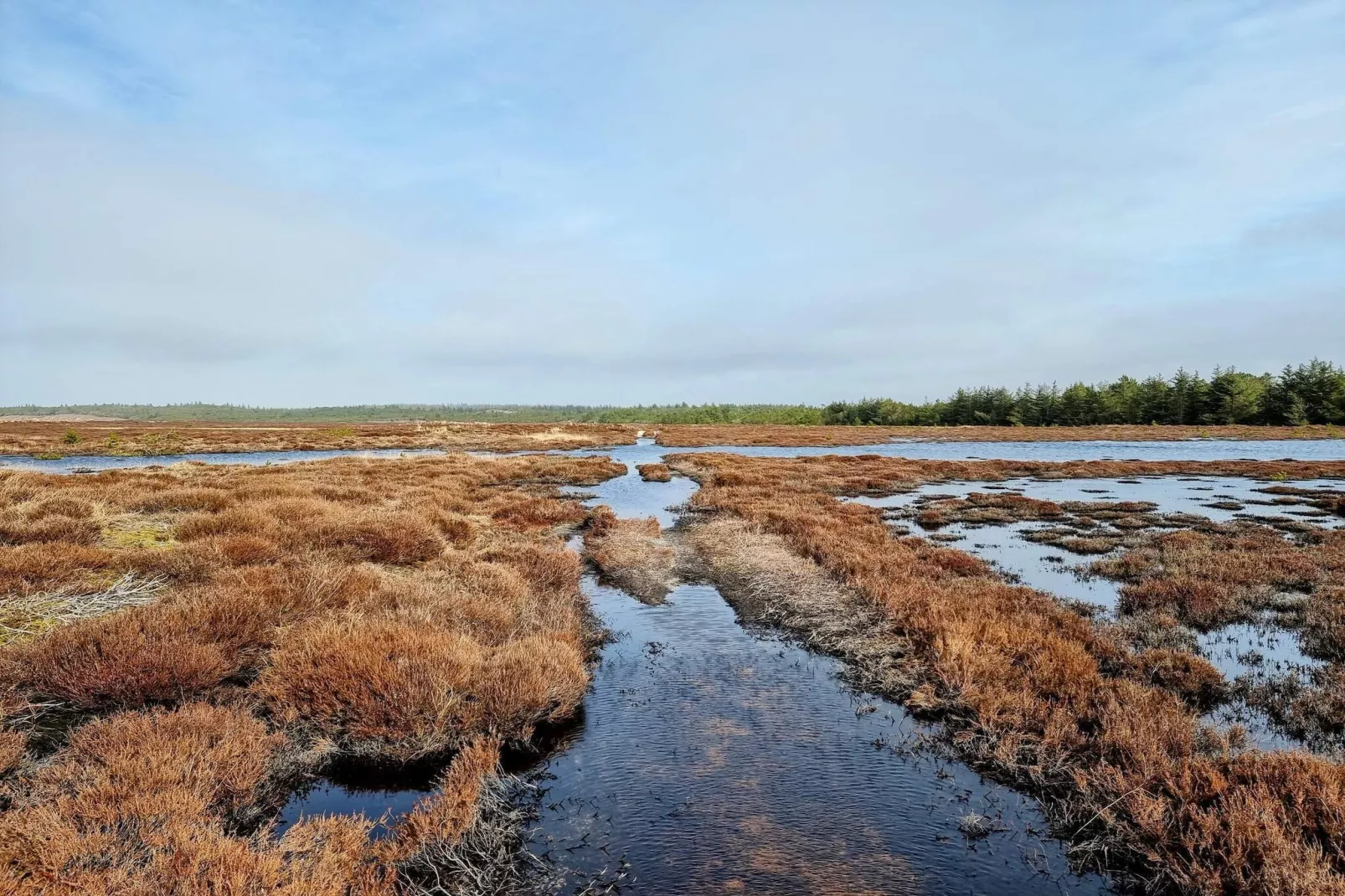 5-sterren vakantiehuis in Henne Beach