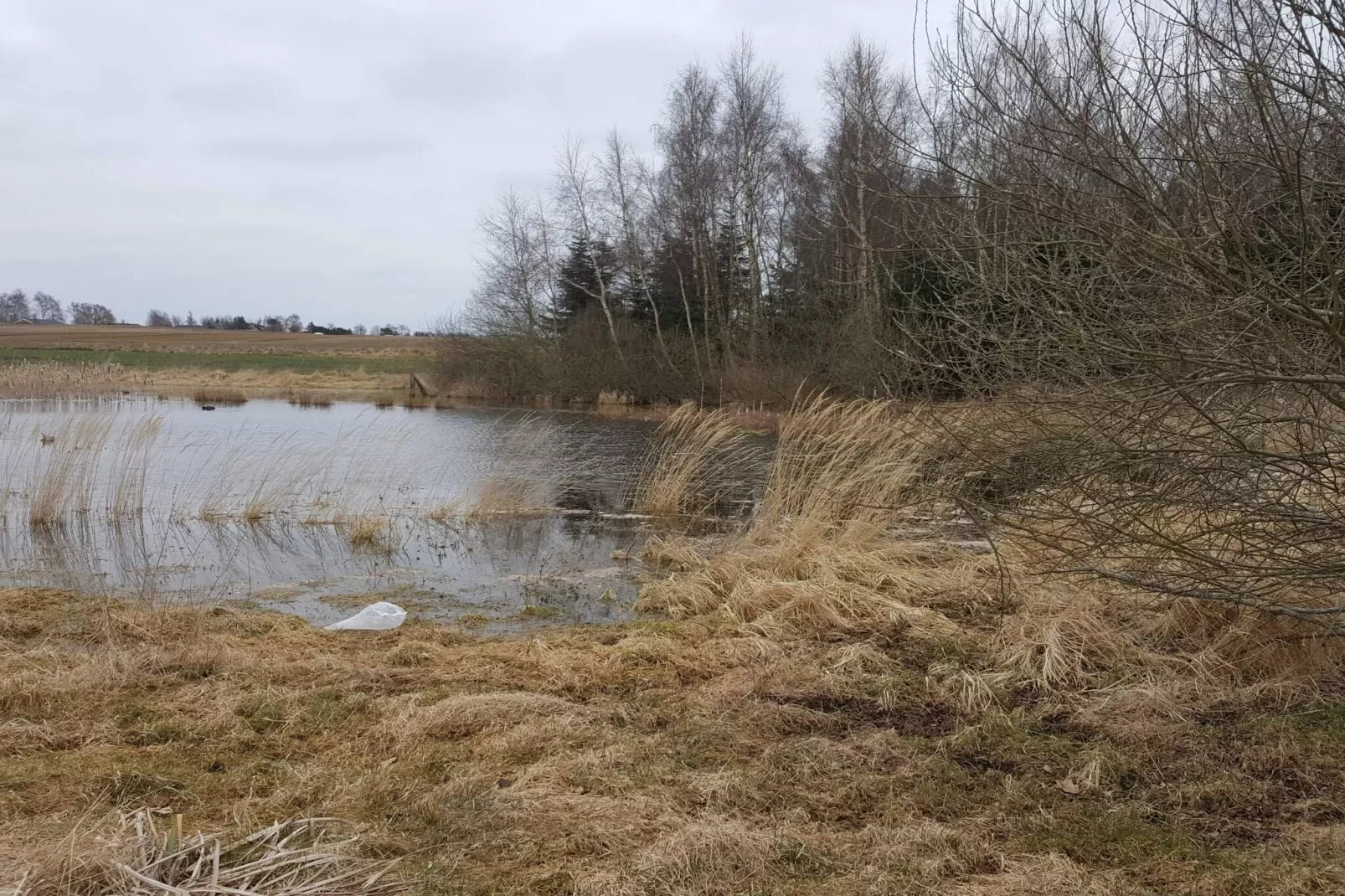 4 sterren vakantie huis in Jægerspris-Waterzicht