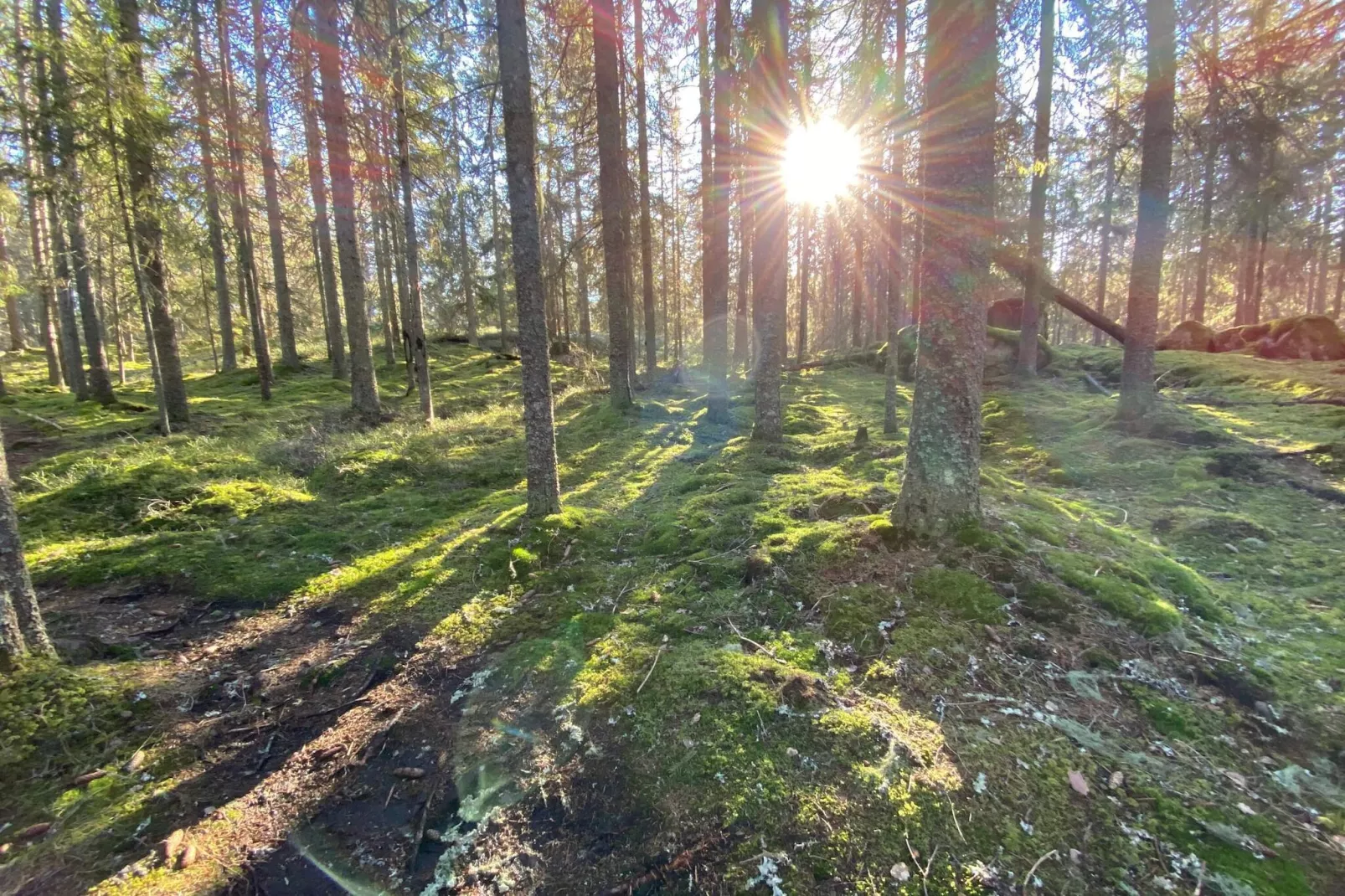 4 sterren vakantie huis in KIL-Niet-getagd