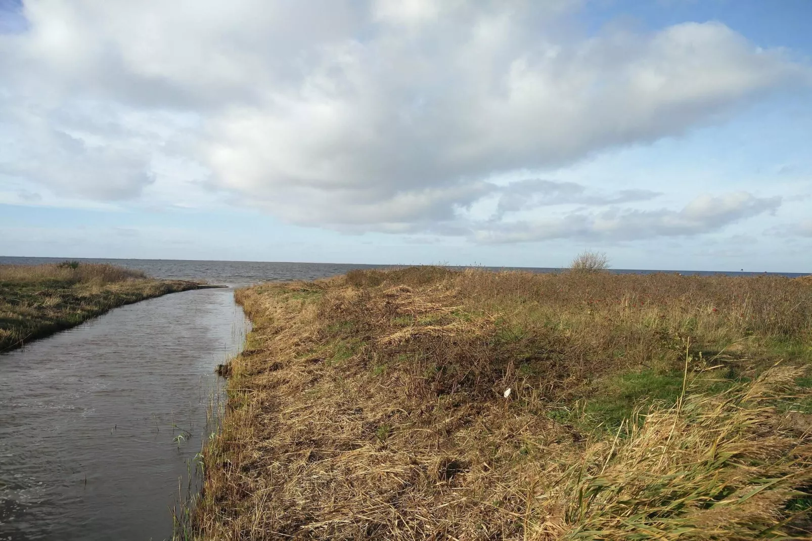 0 Personen vakantie huis in Hemmet-Waterzicht