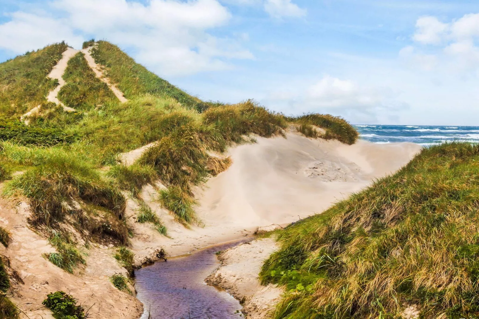 4 sterren vakantie huis in Blokhus-Waterzicht