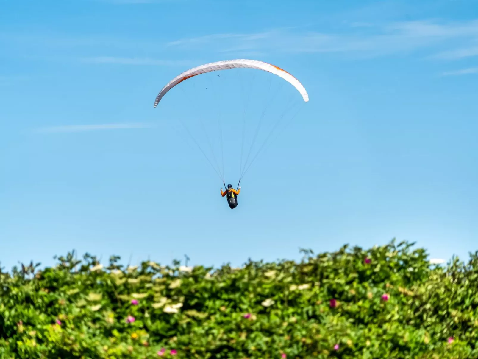 "Leonard" - 130m from the sea-Buiten