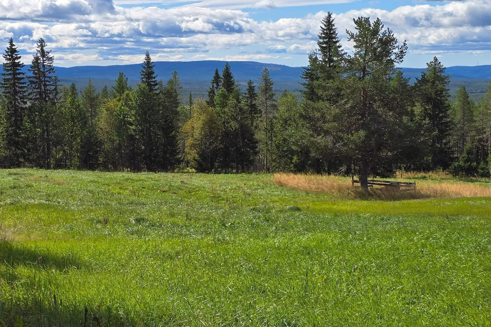 6 Personen vakantie huis in Osen-Niet-getagd