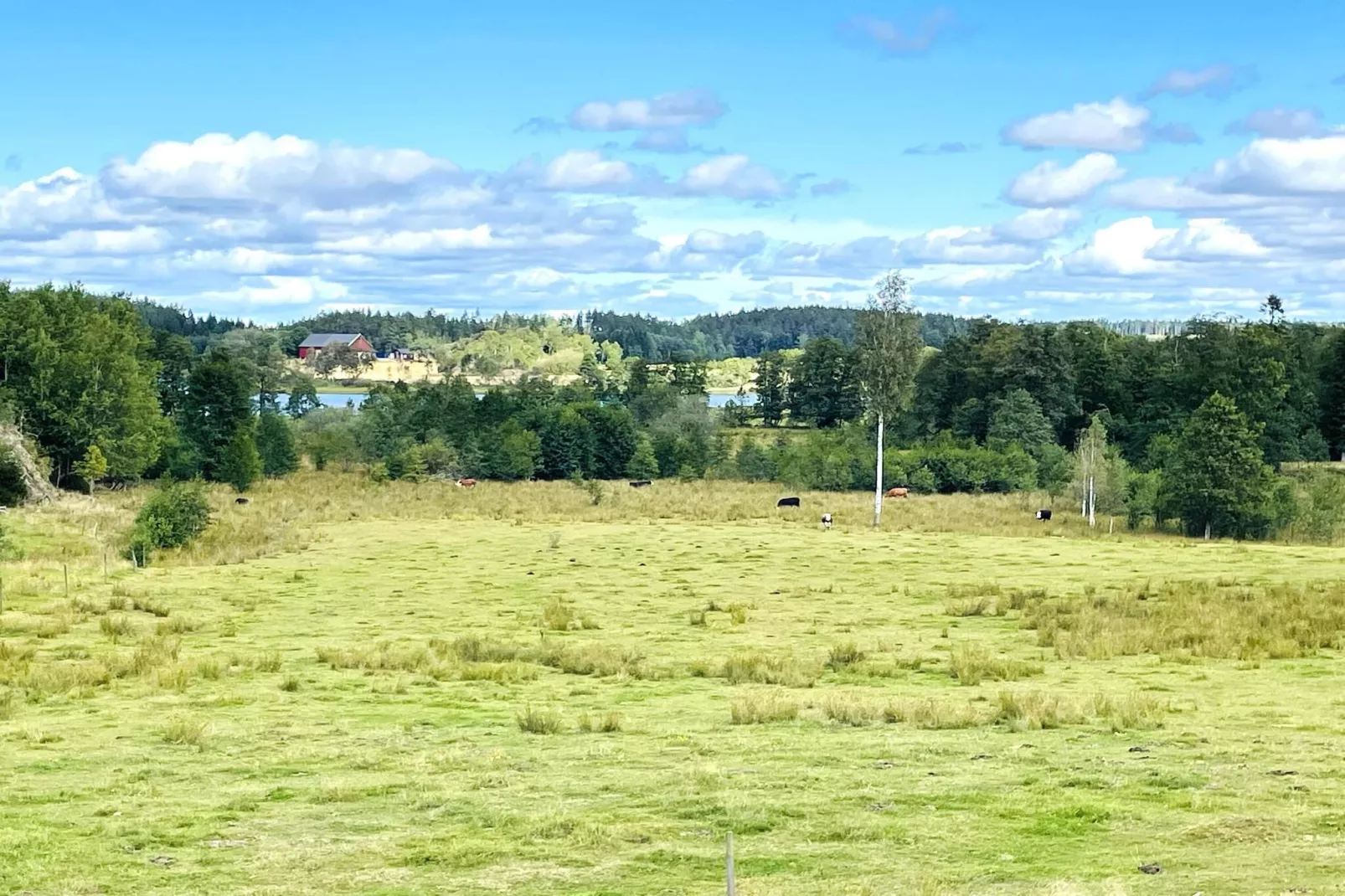 4 Personen vakantie huis in UDDEVALLA-Buitenlucht