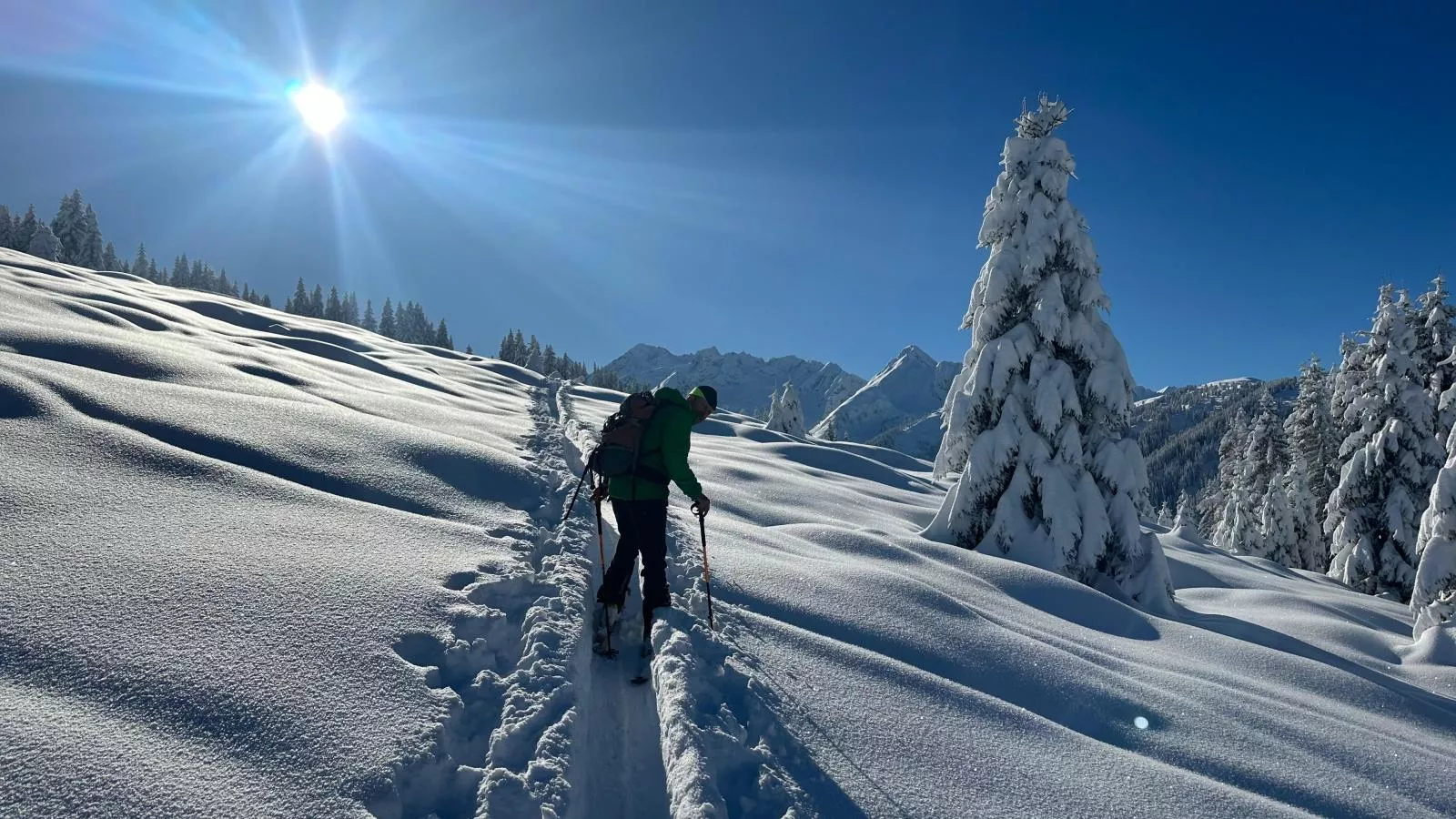Kaiser-Gebied winter 5km