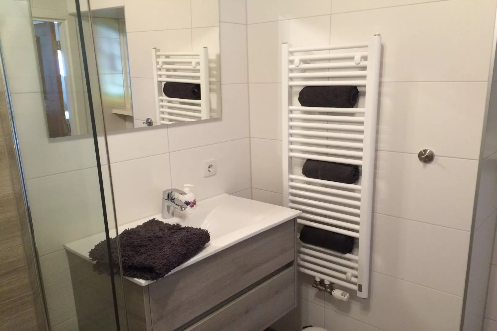 Appartement Boerderij-Badkamer