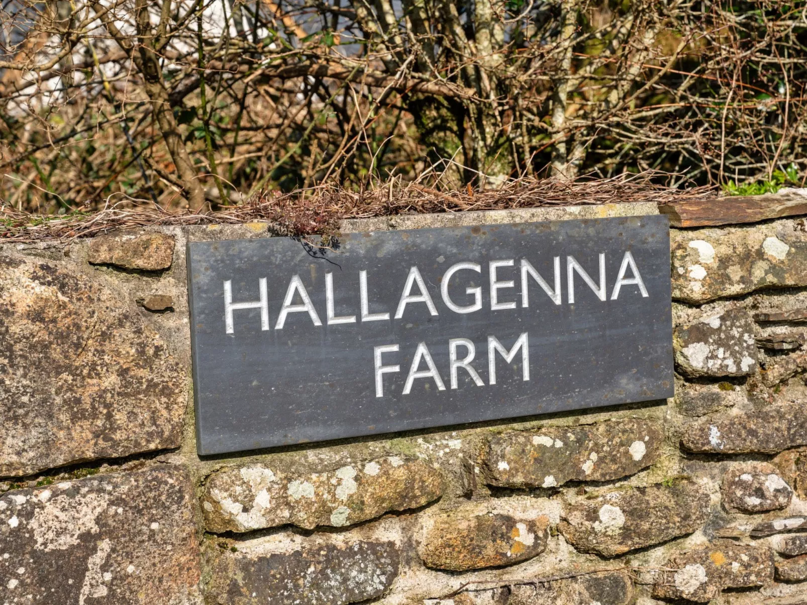 Trippet Cottage at Bodmin Moor-Buiten
