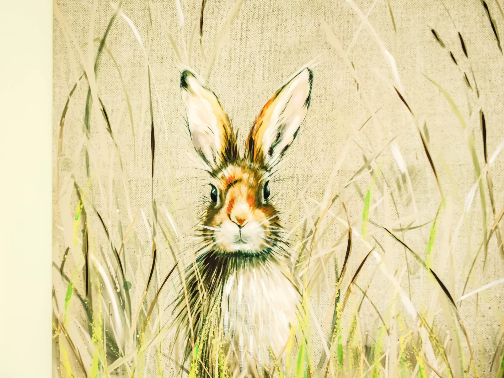 Frobost Lodge-Buiten