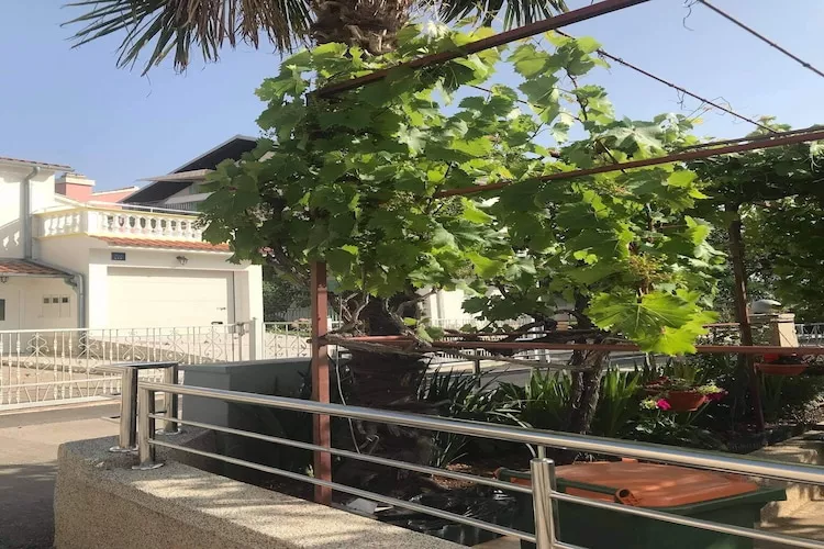 Apartments Villa Tanja - Two Bedroom Apartment with Terrace-Tuinen zomer