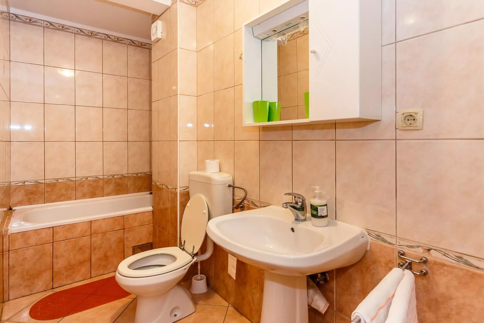 Comfortable and Sunny Krk Apartment - One Bedroom Apartment with Terrace-Badkamer