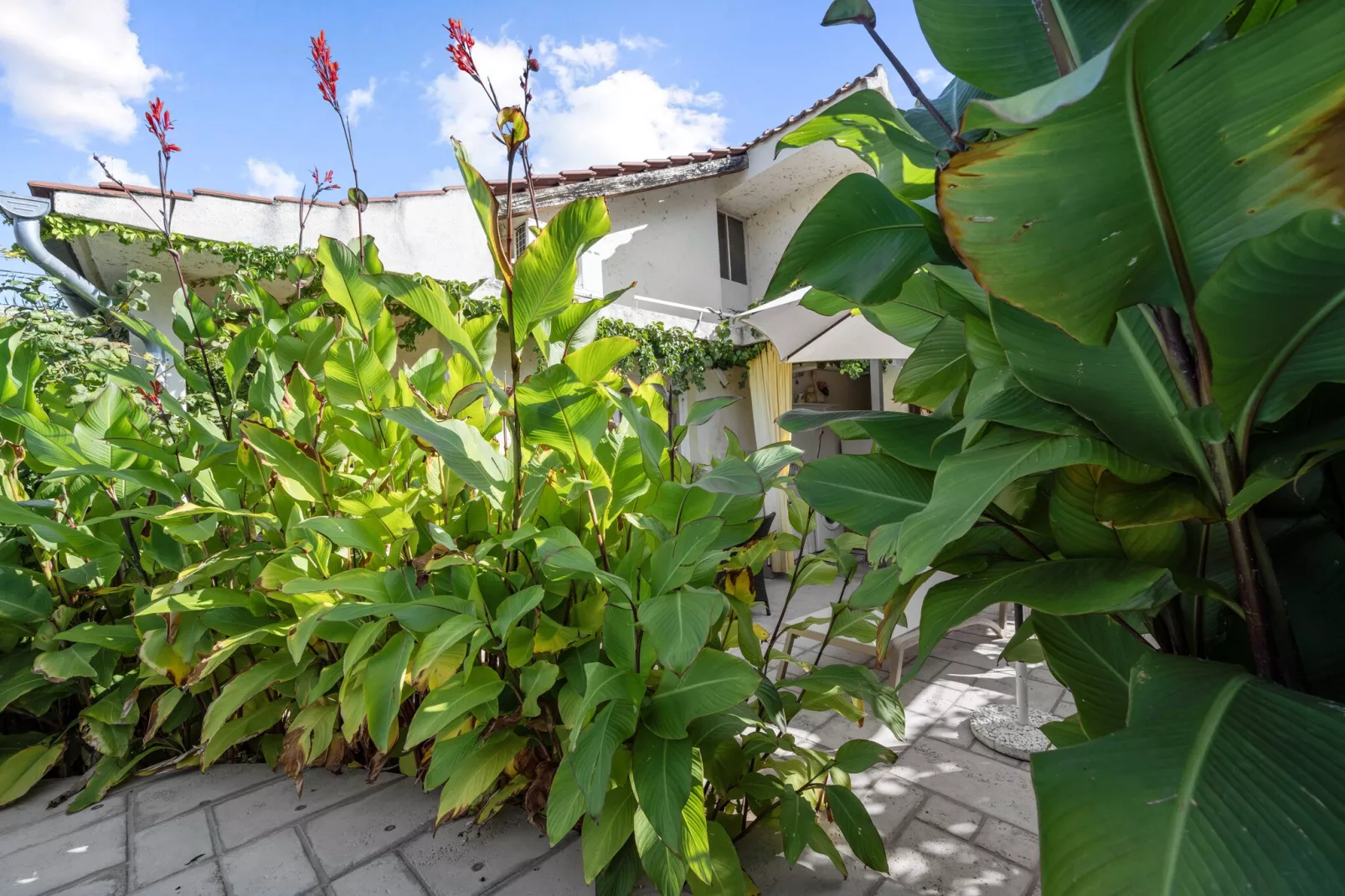 One-Bedroom Apartment With Pool