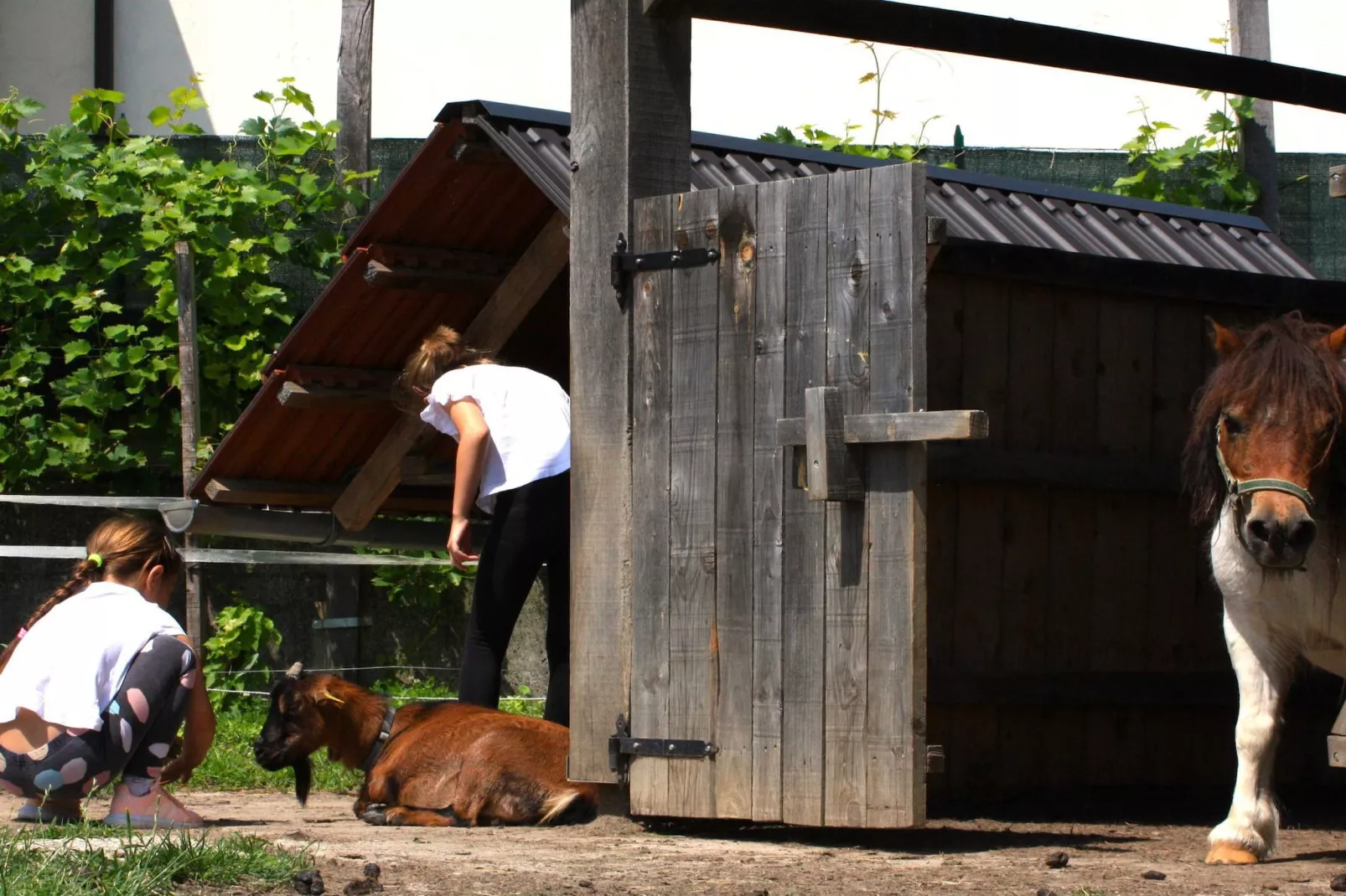 Zevnik Quiet Retreat with Stunning Views and Equestrian Activities - Triple Room with Private  Bathroom-Buitenlucht