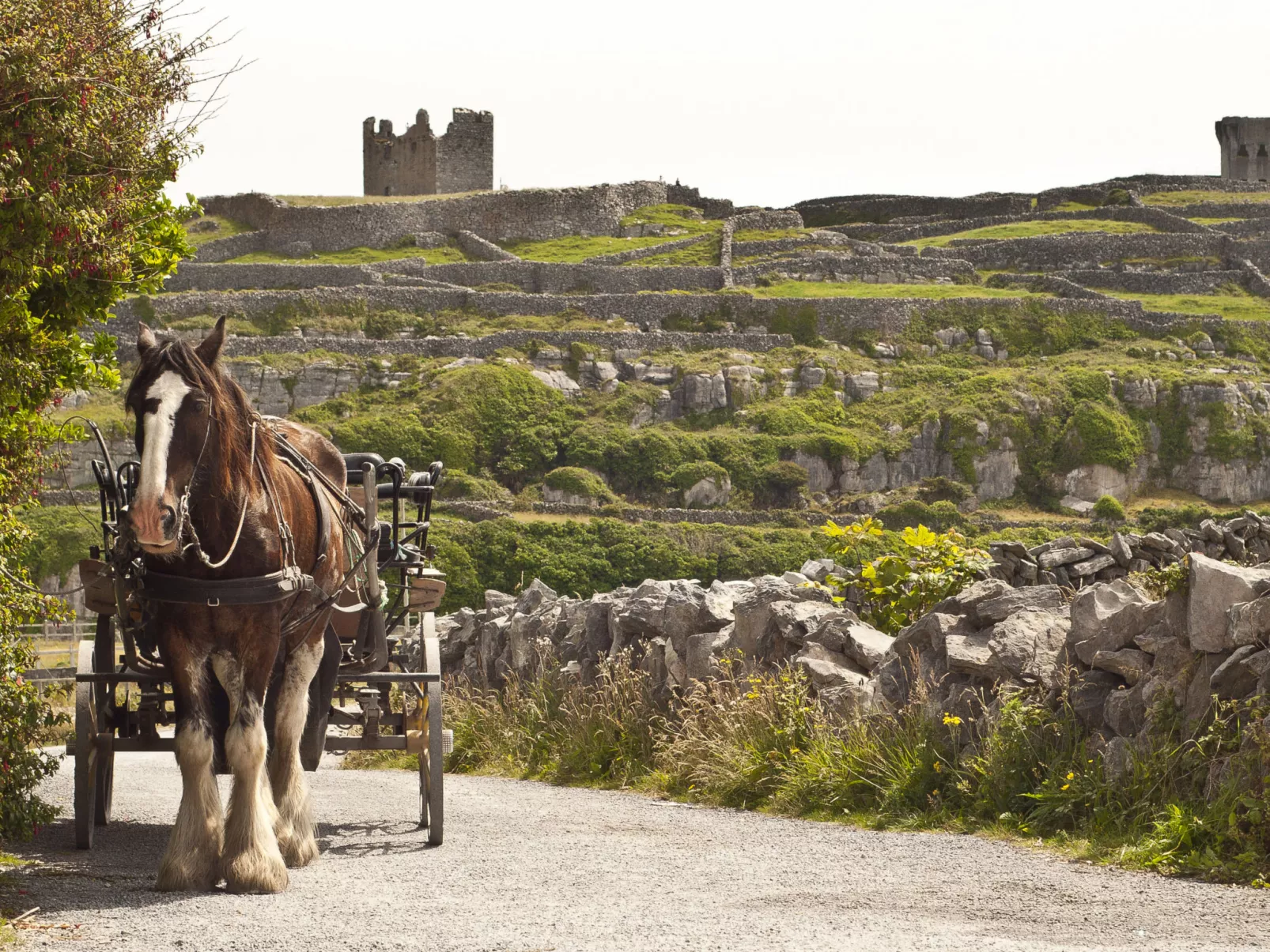 Galway Bay (TR4)Lodge-Buiten