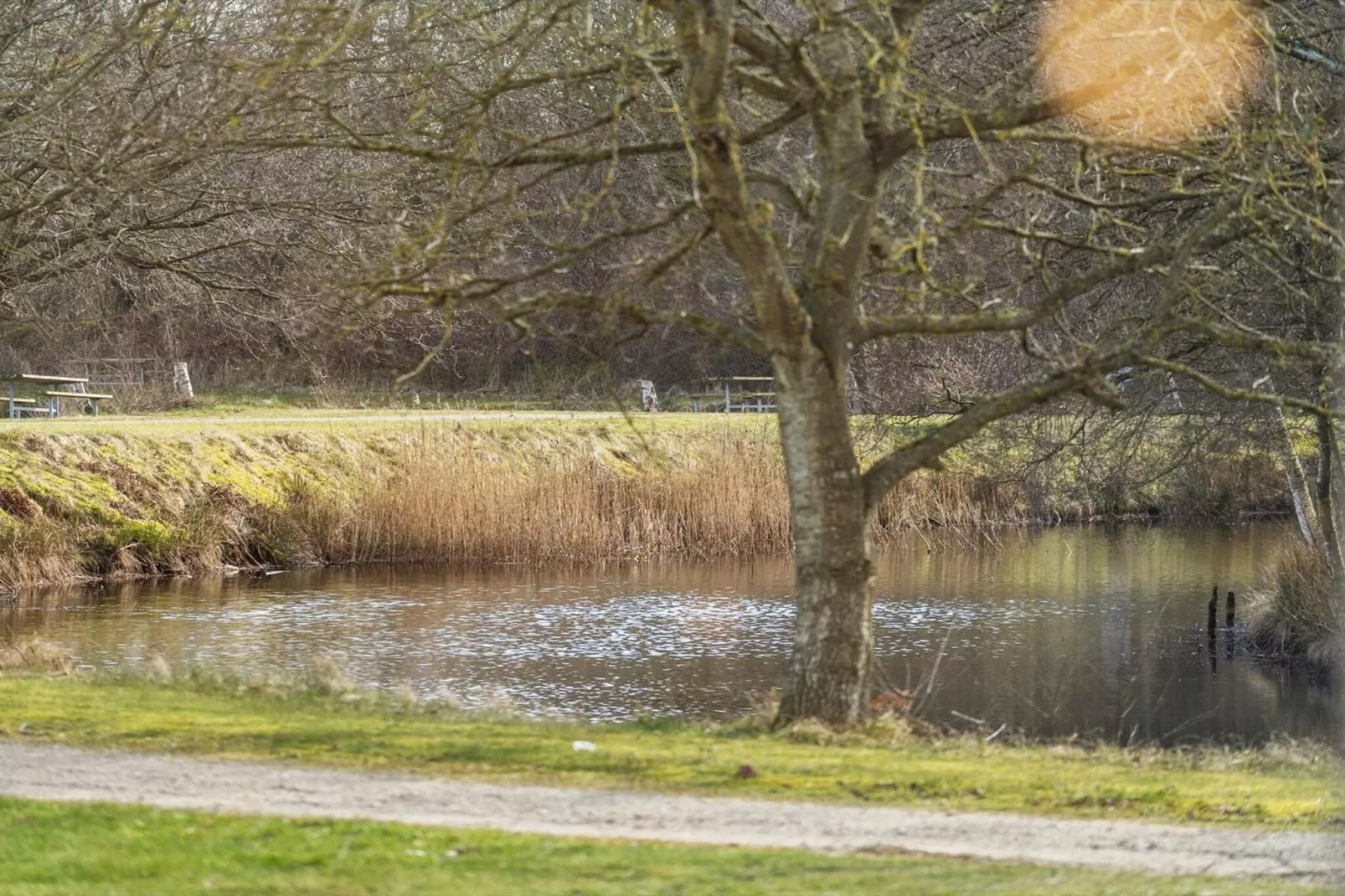4 sterren vakantie huis in Ringkøbing-Buitenlucht