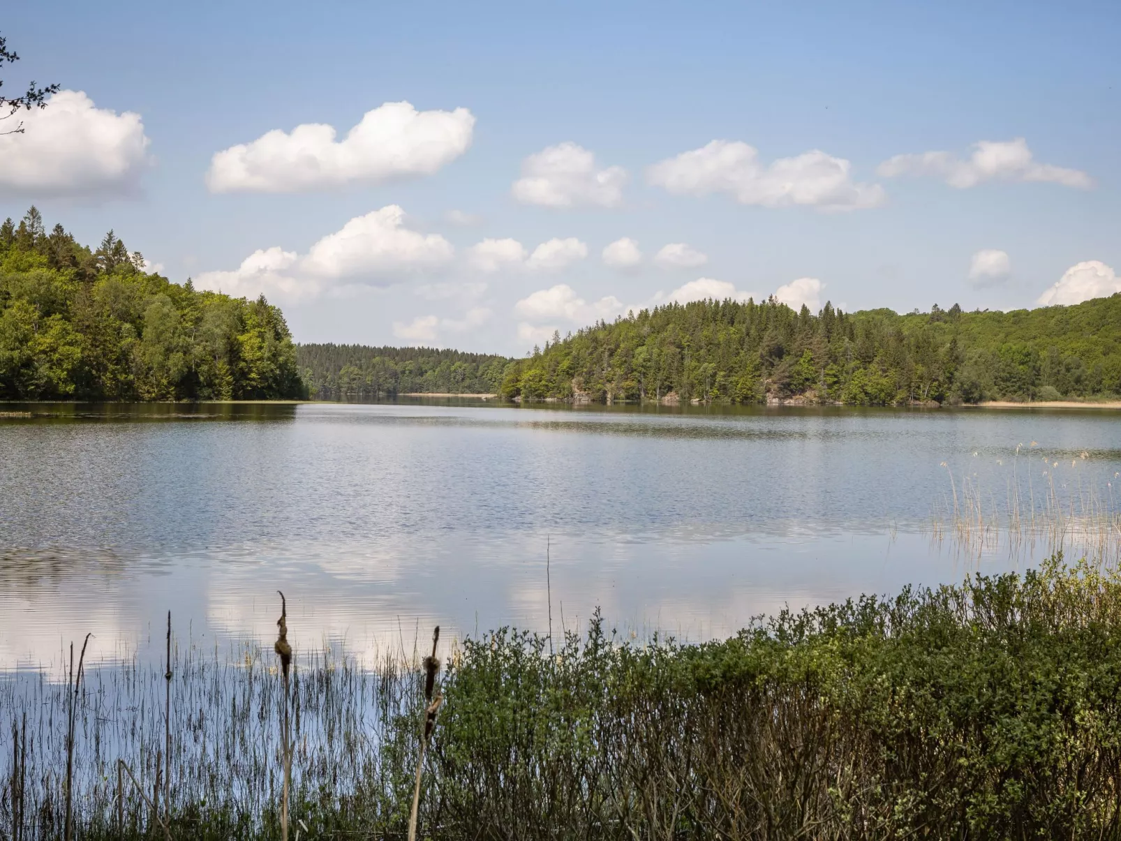 Dammeberg-Buiten
