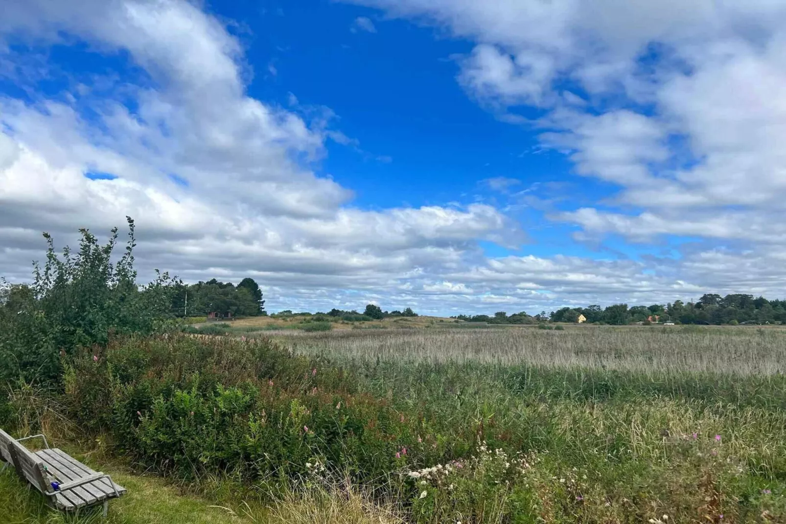 5 sterren vakantie huis in Dronningmølle-Buitenlucht