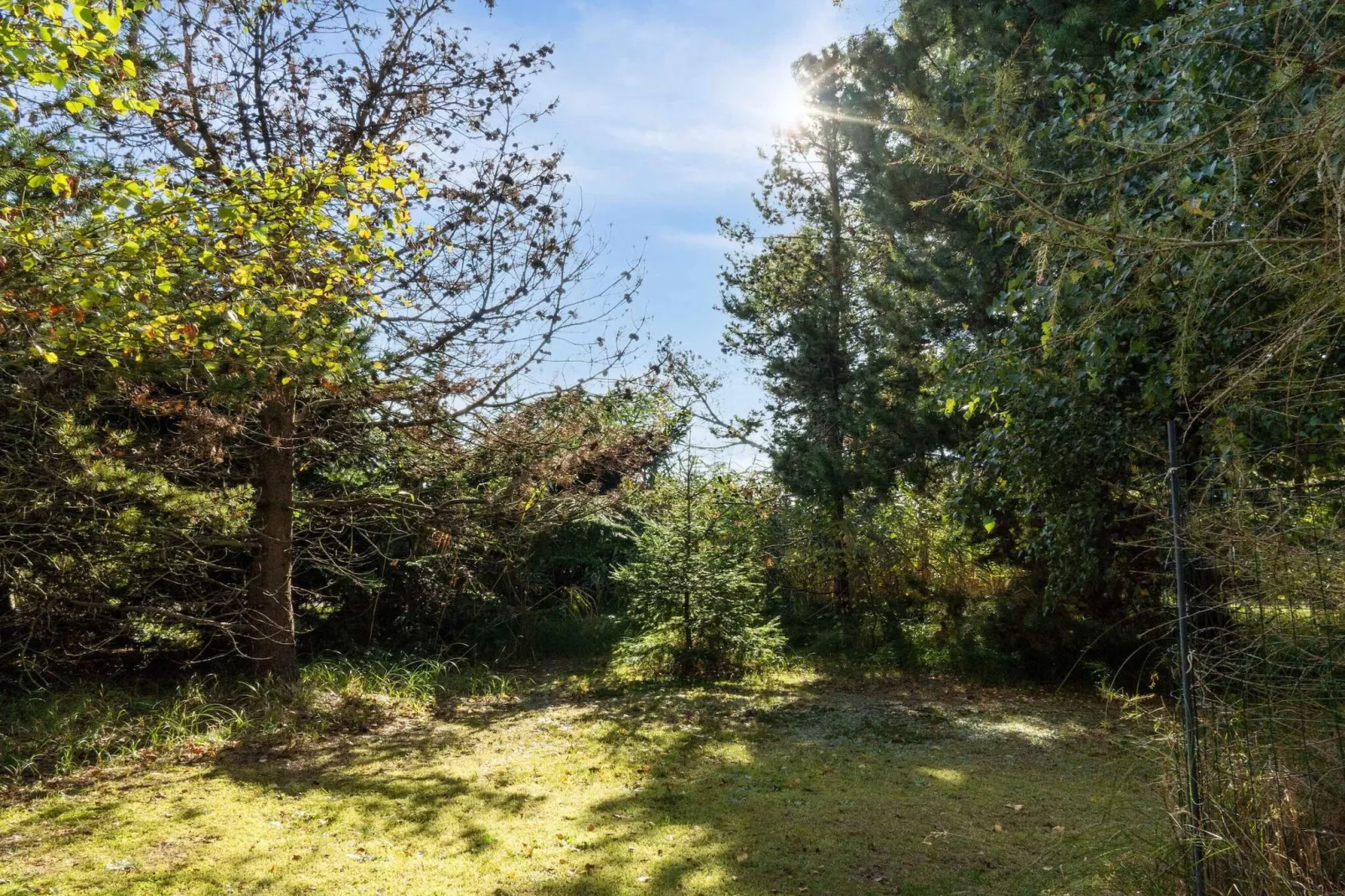 5 sterren vakantie huis in Væggerløse-Buitenlucht