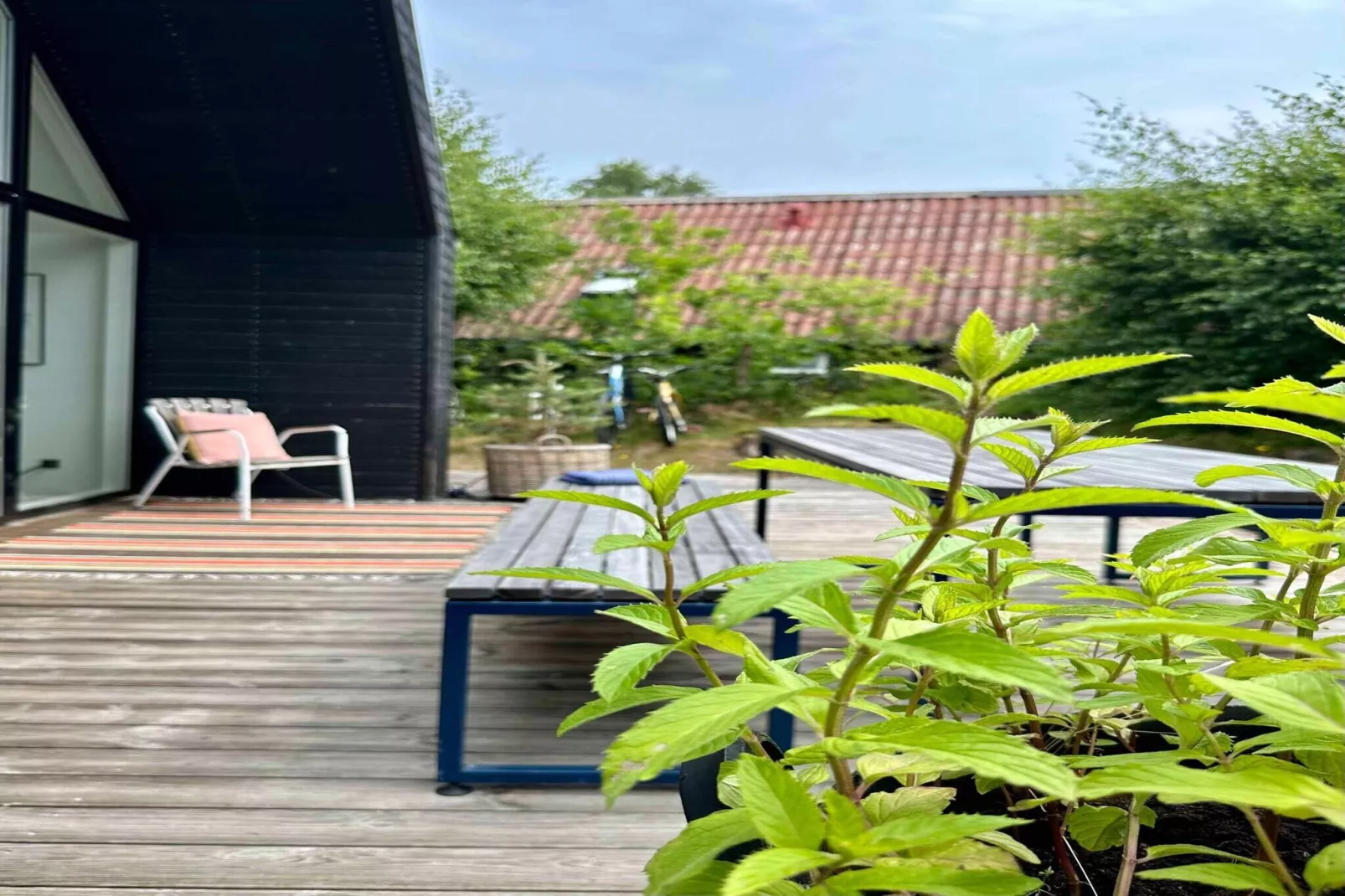 5 sterren vakantie huis in Nexø-Buitenlucht