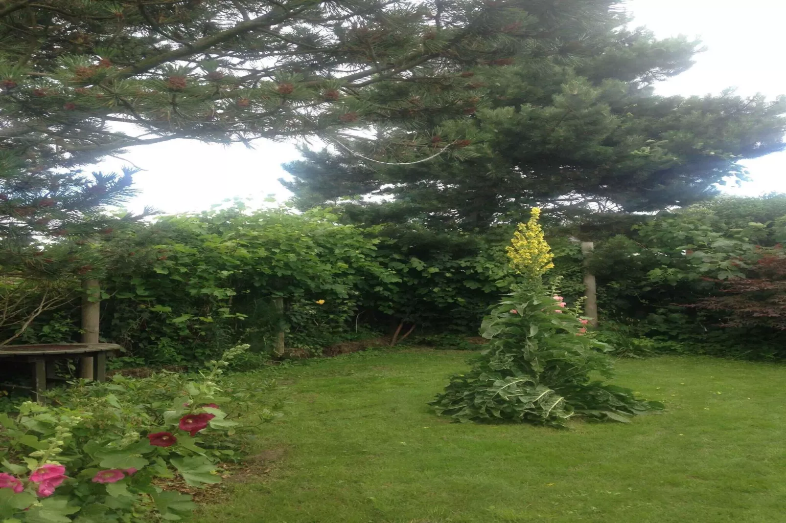 5 sterren vakantie huis in Faaborg-Buitenlucht