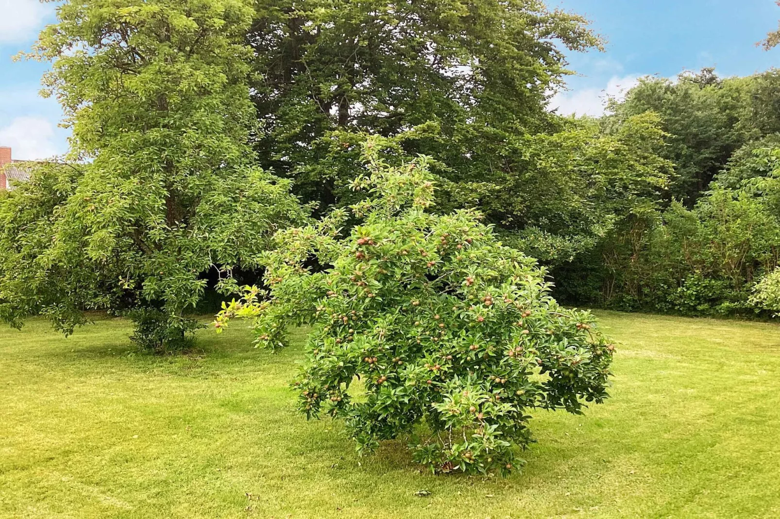 5 sterren vakantie huis in Fur-Niet-getagd