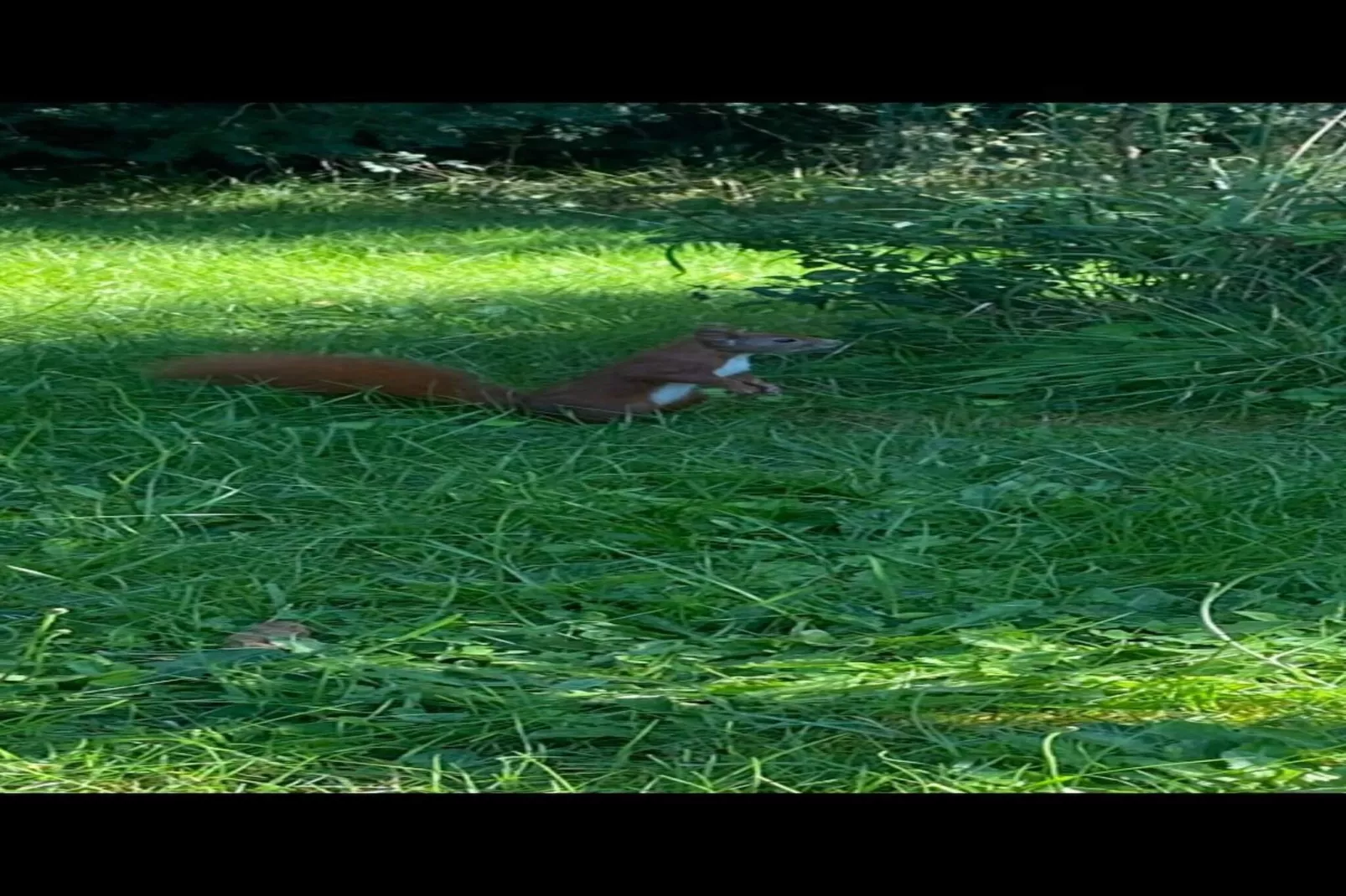 5 sterren vakantie huis in Orø-Niet-getagd