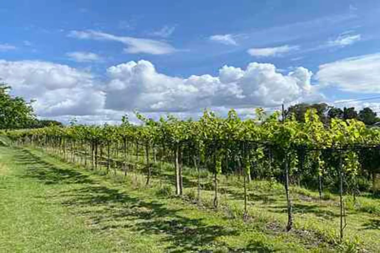 4 sterren vakantie huis in Karrebæksminde-Niet-getagd