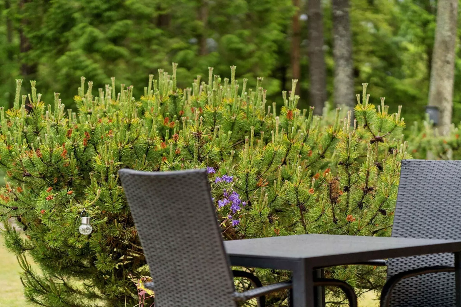 4 sterren vakantie huis in Glesborg-Buitenlucht